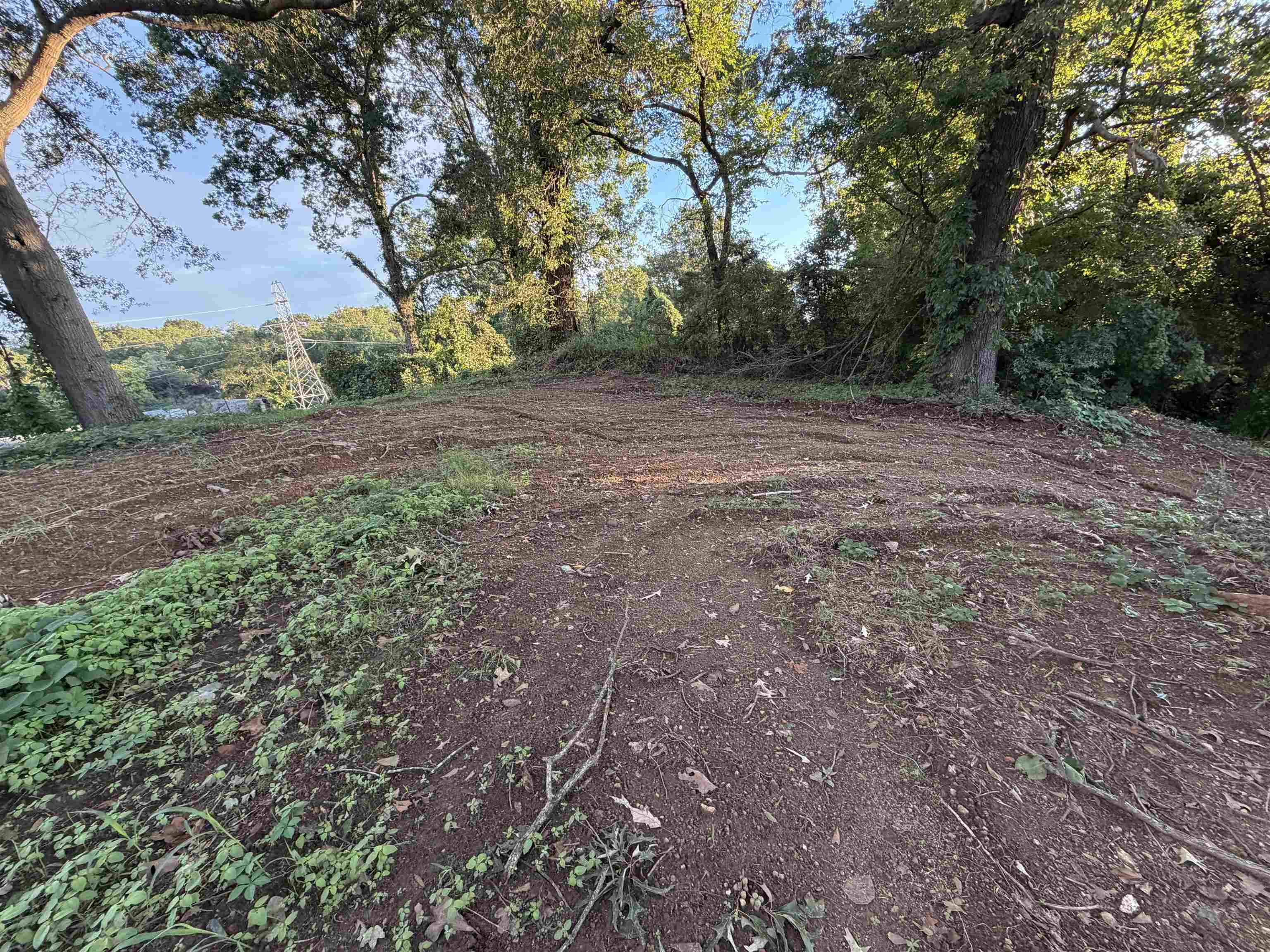 342184 Property Photo 3