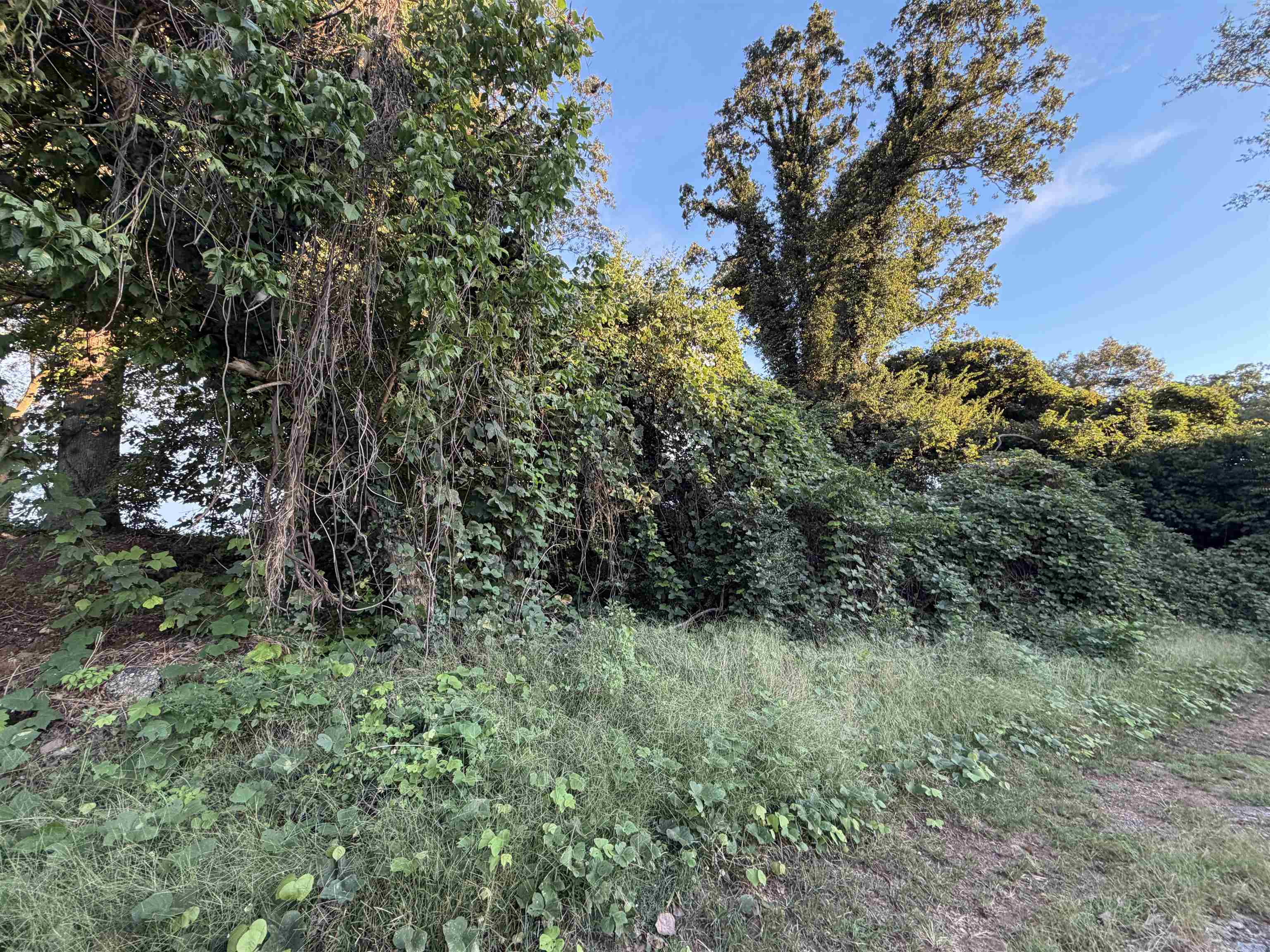 342184 Property Photo 4