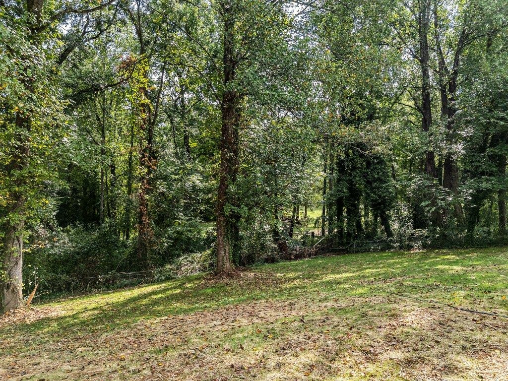 139 Willowood Drive Property Photo 40