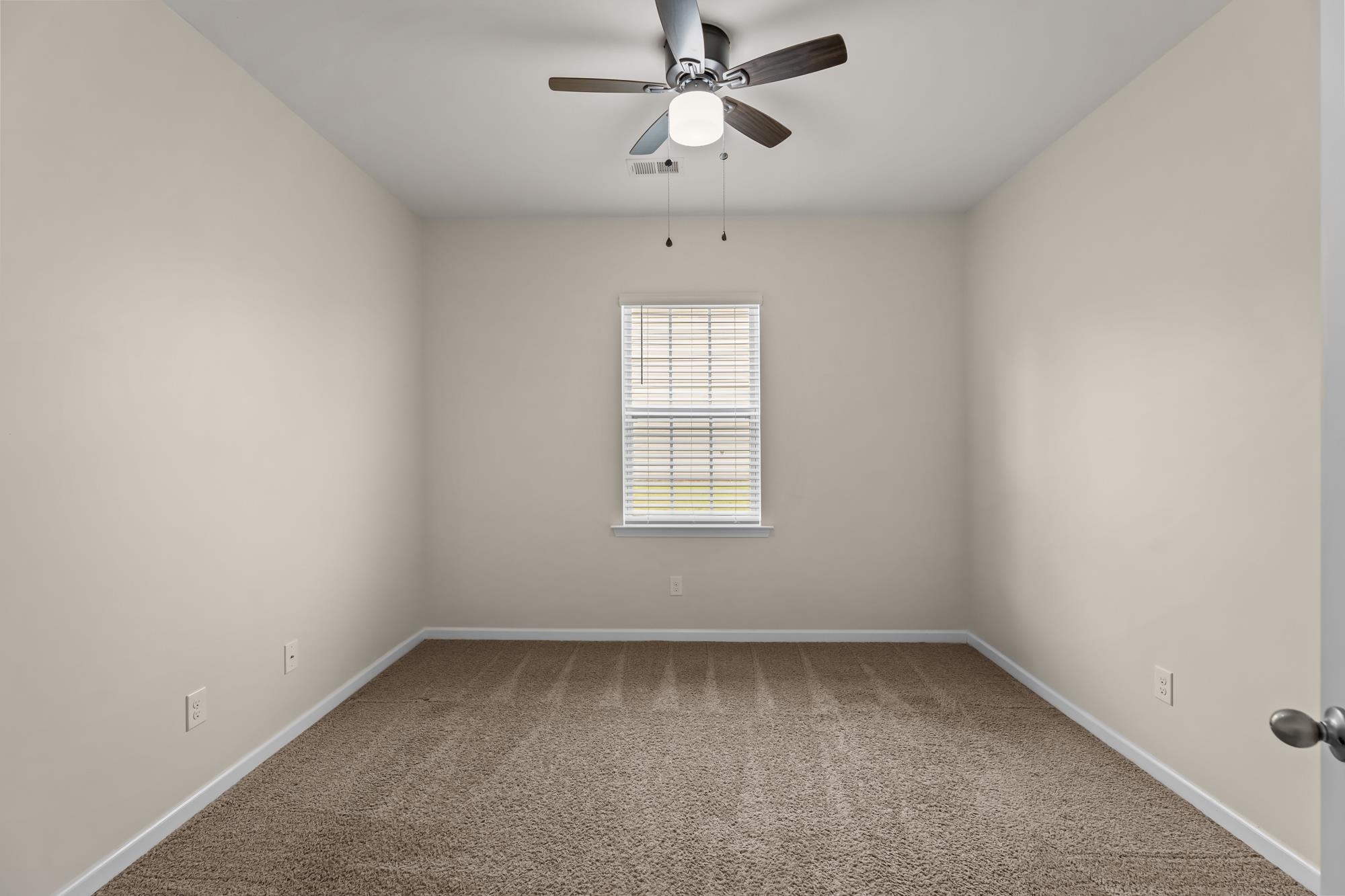 317 New Springs Lane Property Photo 13