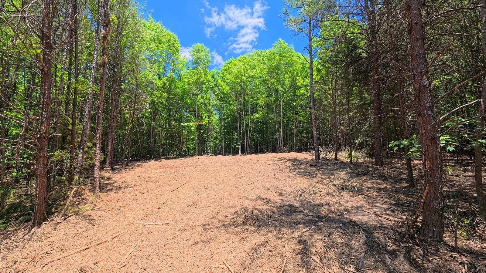 342226 Property Photo 14