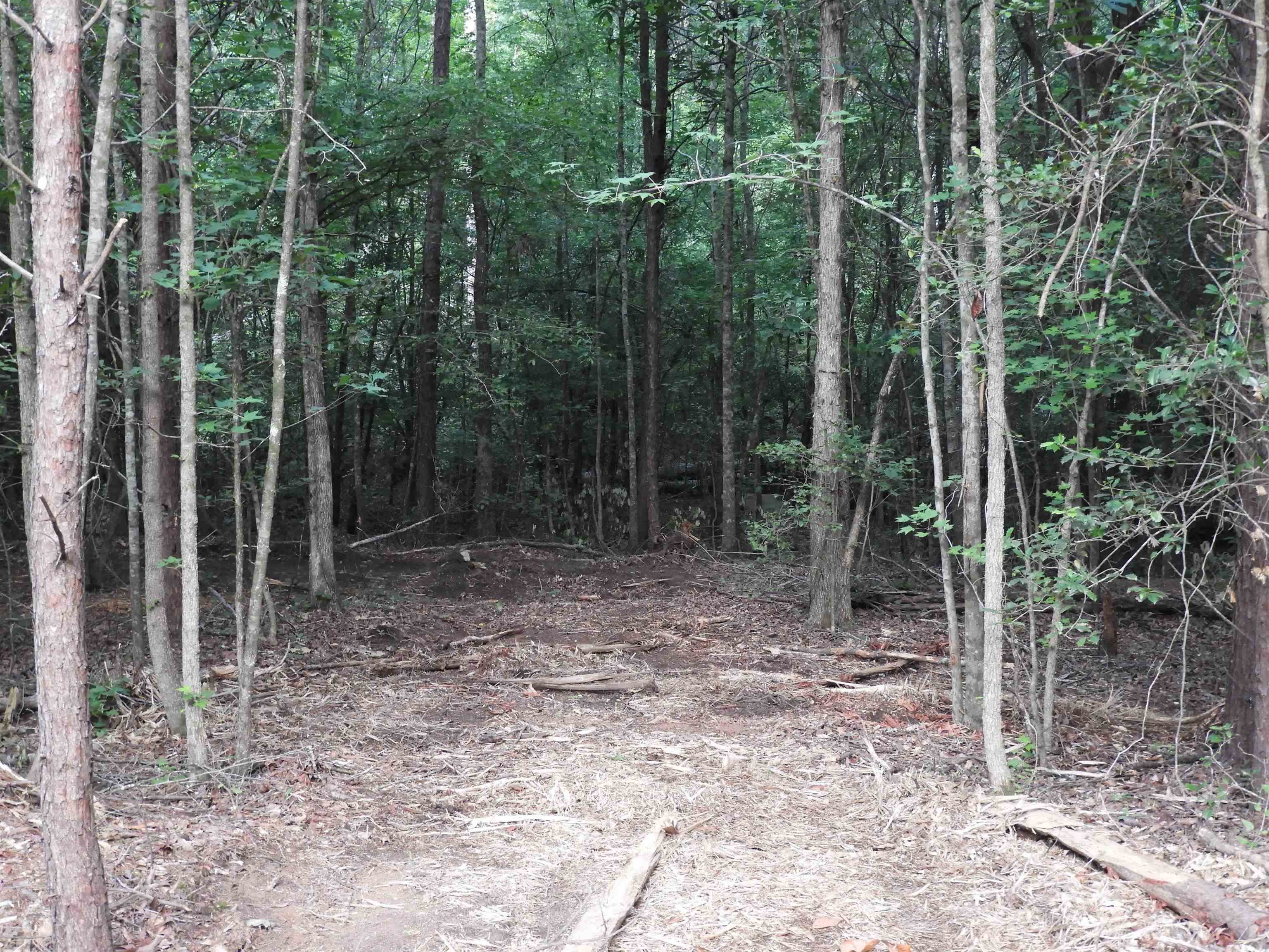 342229 Property Photo 6