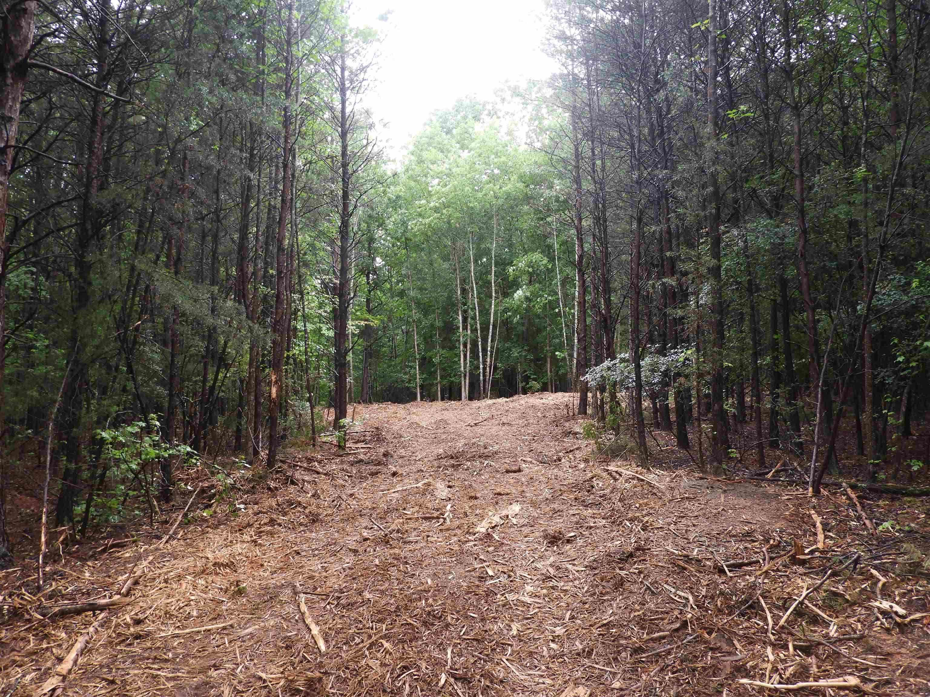 342229 Property Photo 9