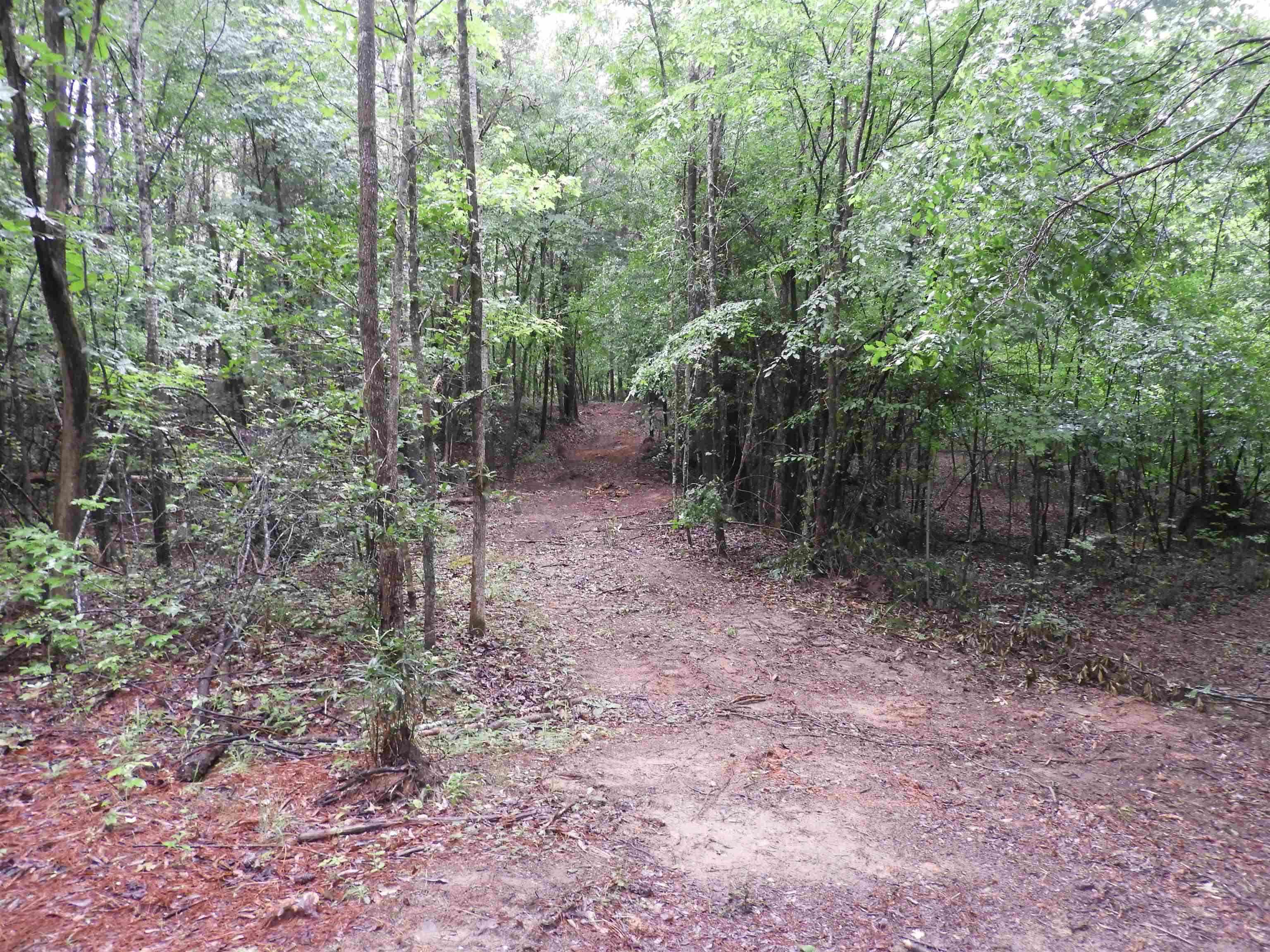 342229 Property Photo 14