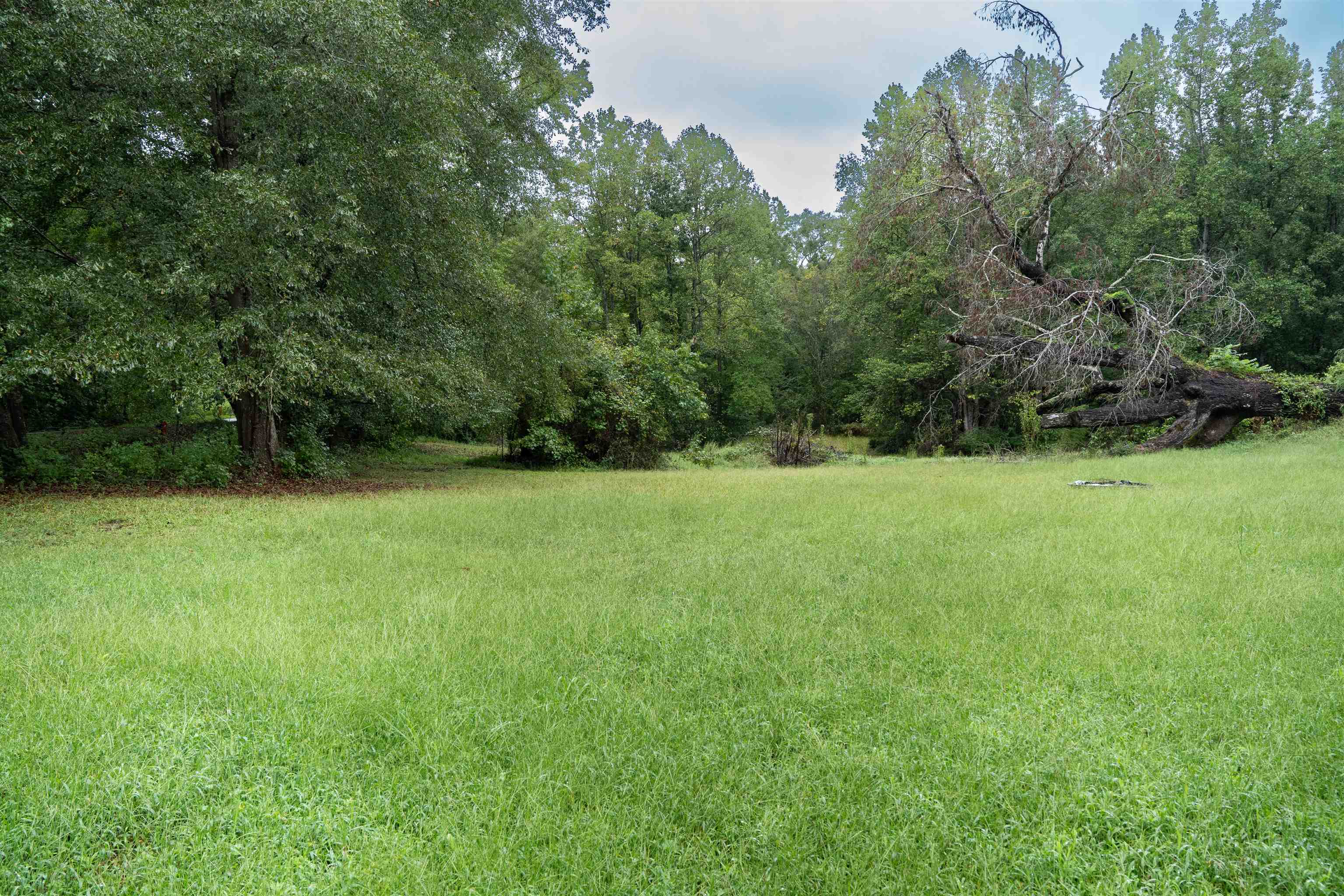 751 Conway Black Road Property Photo 20