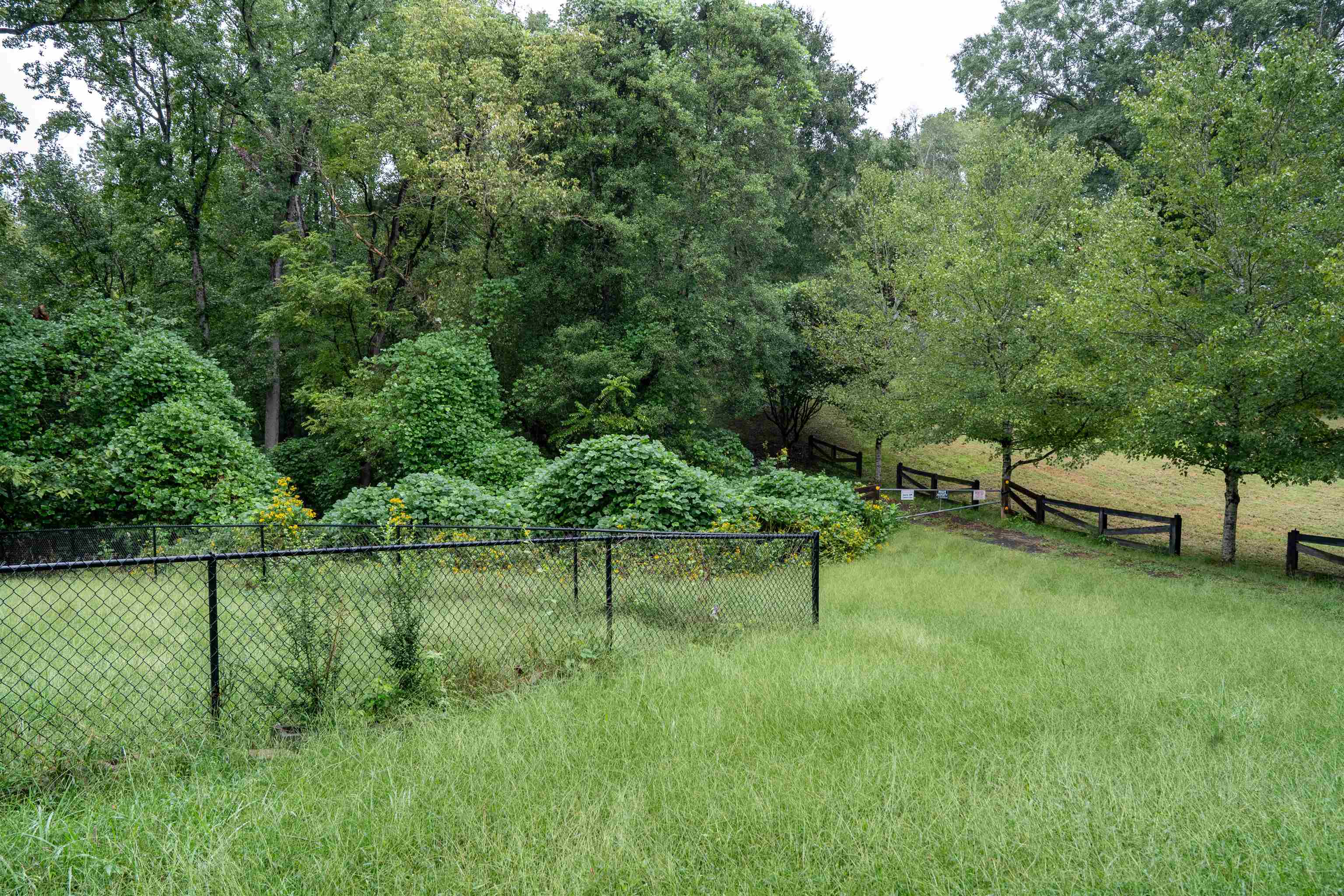 751 Conway Black Road Property Photo 21