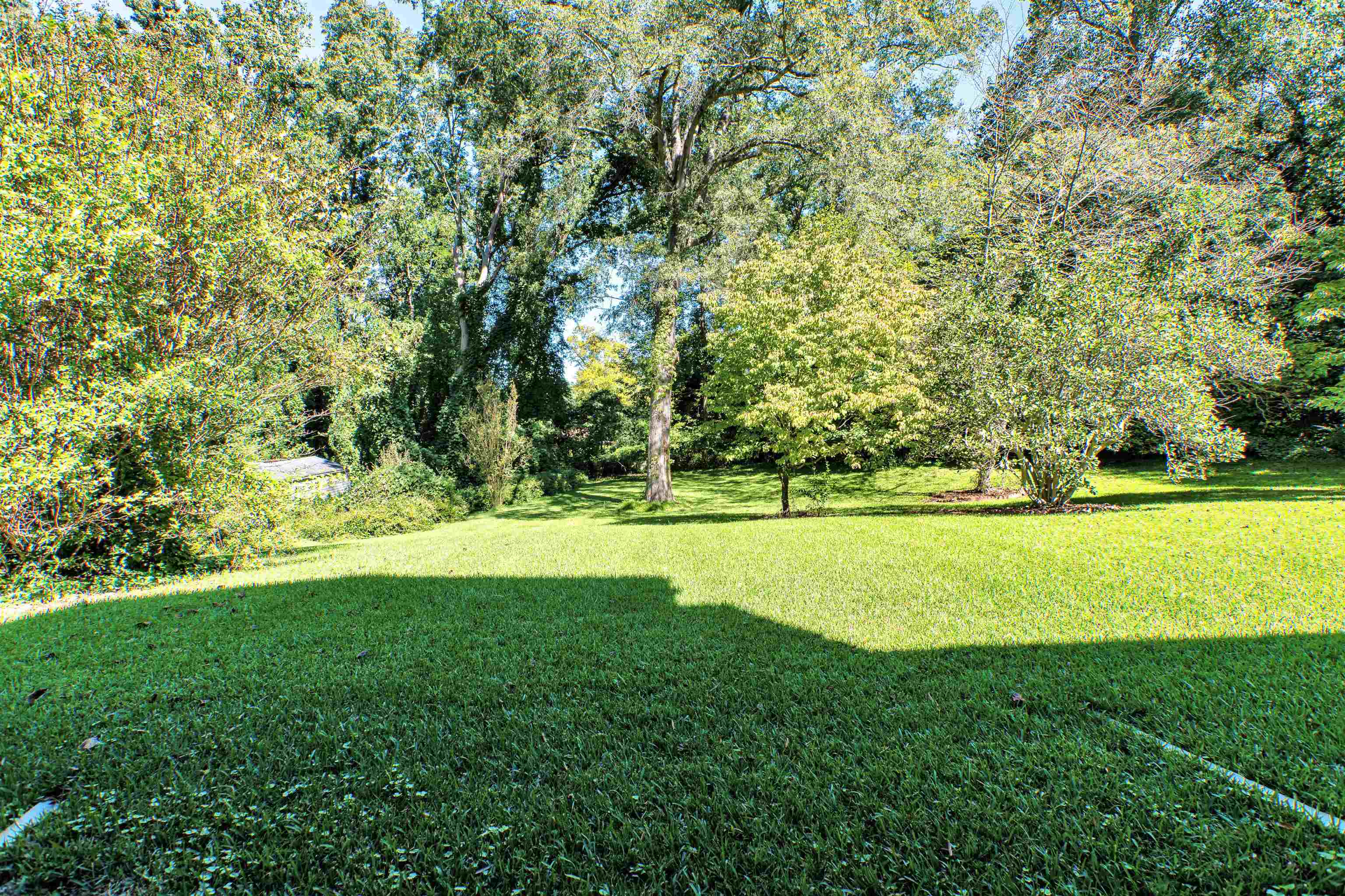 110 Crestview Dr Property Photo 39