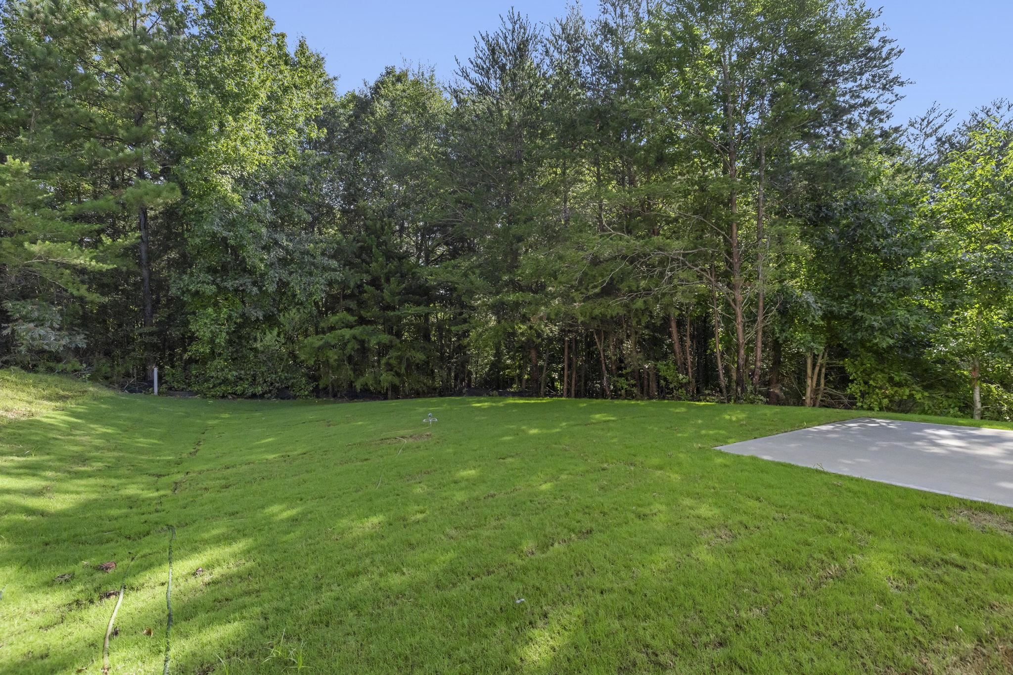 335 Carnahan Drive Property Photo 28