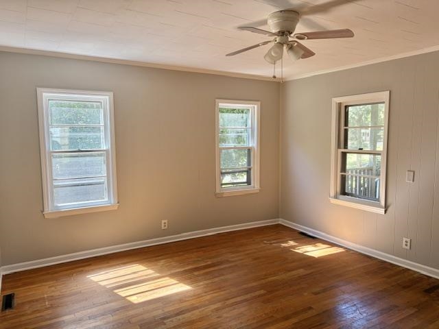 440 Cothran Creek Road Property Photo 9