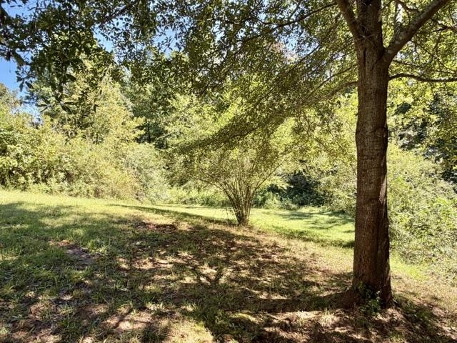 440 Cothran Creek Road Property Photo 16