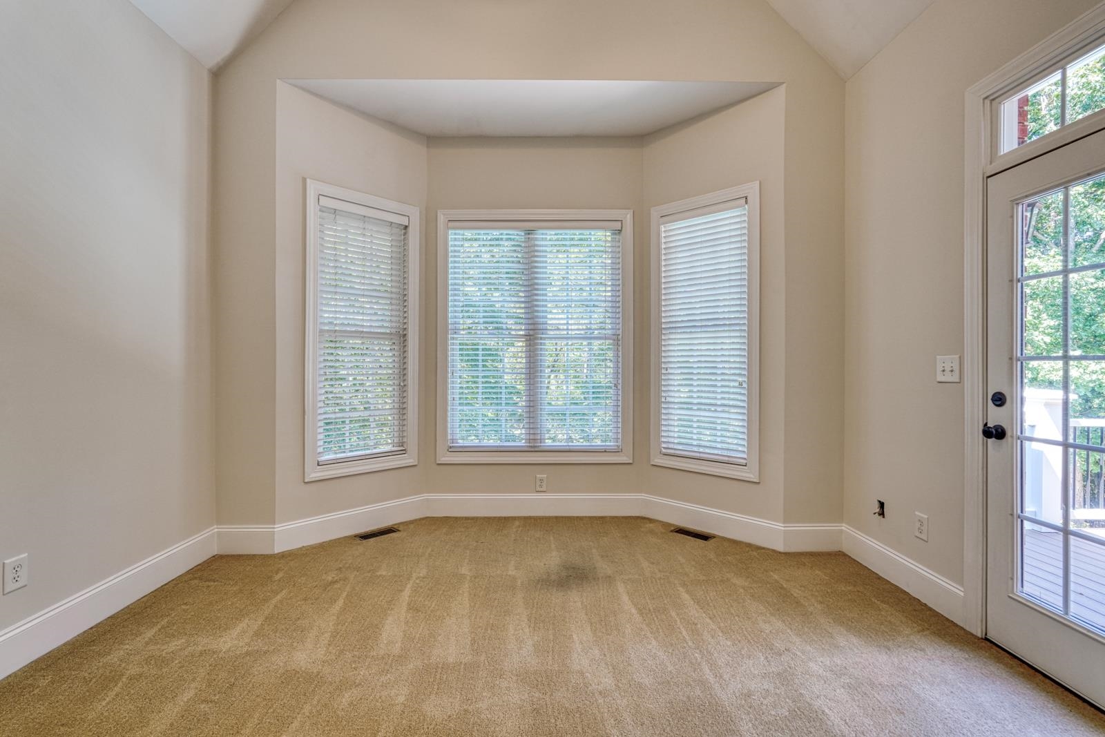 507 Carrickmore Court Property Photo 19