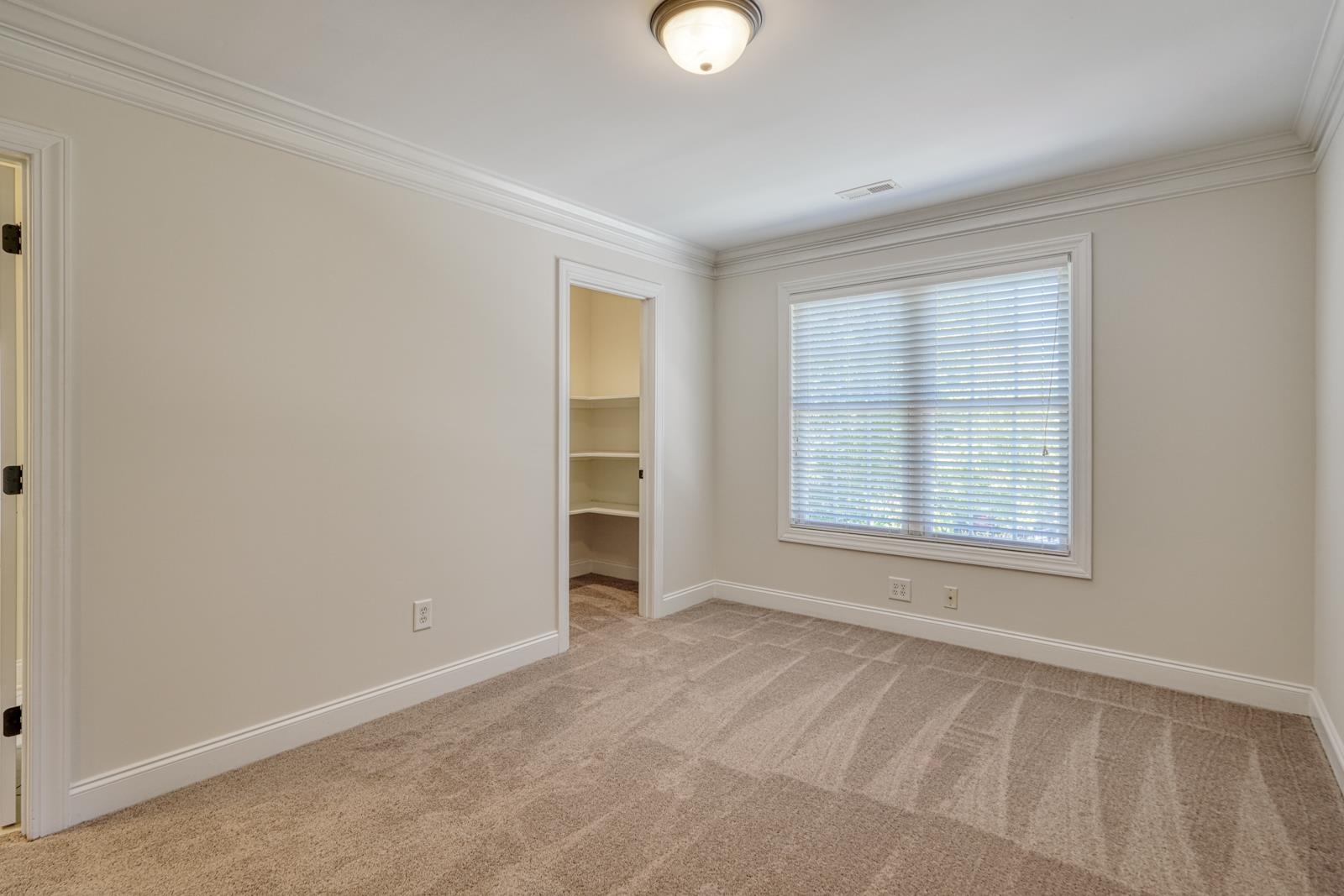 507 Carrickmore Court Property Photo 24