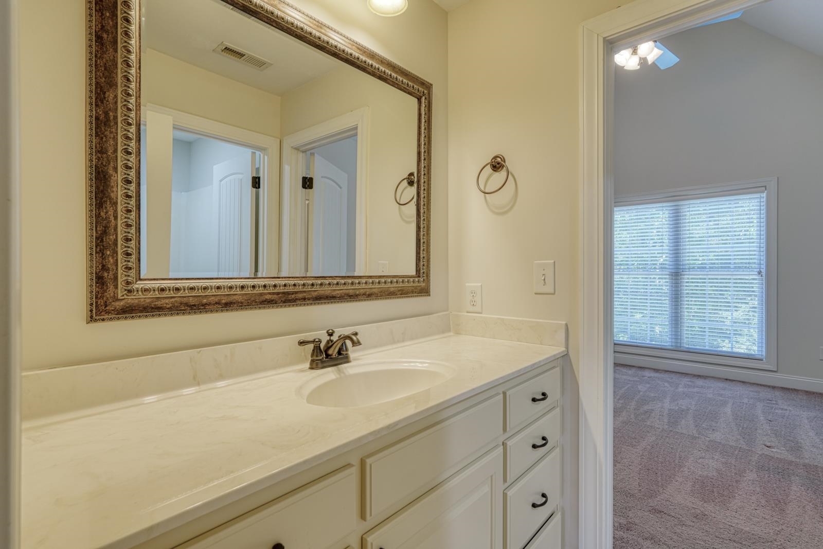 507 Carrickmore Court Property Photo 30