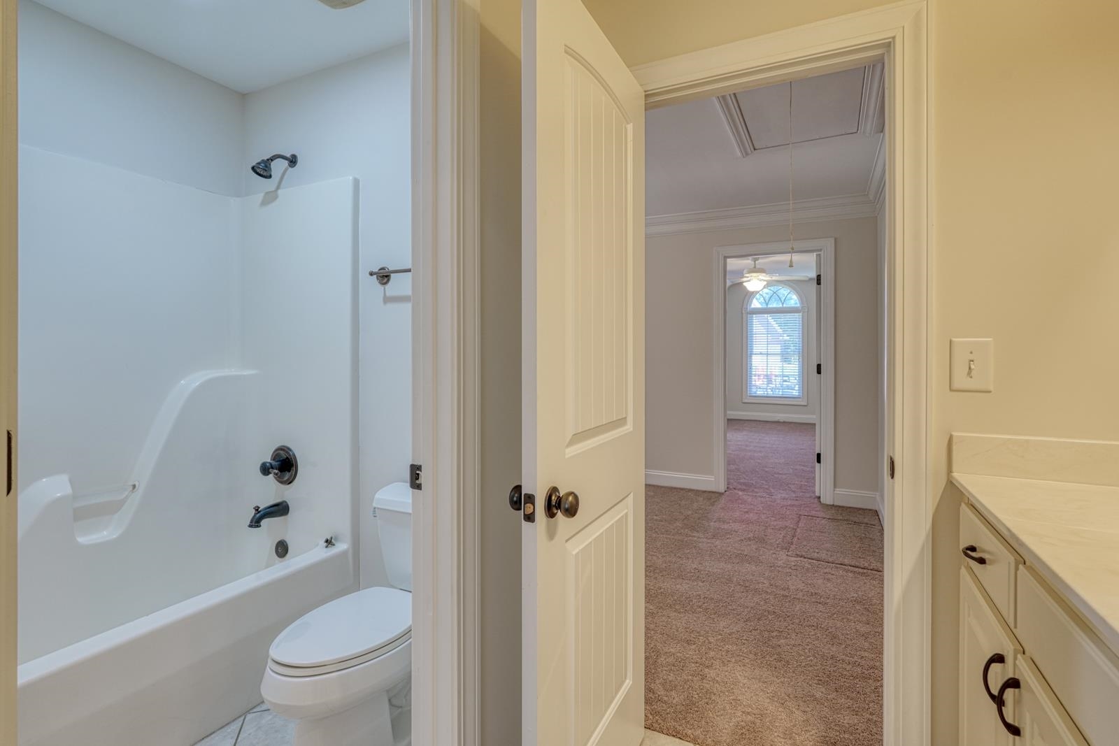 507 Carrickmore Court Property Photo 31