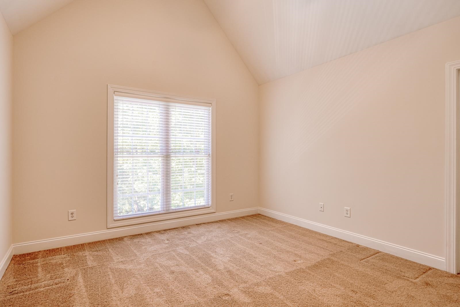 507 Carrickmore Court Property Photo 32
