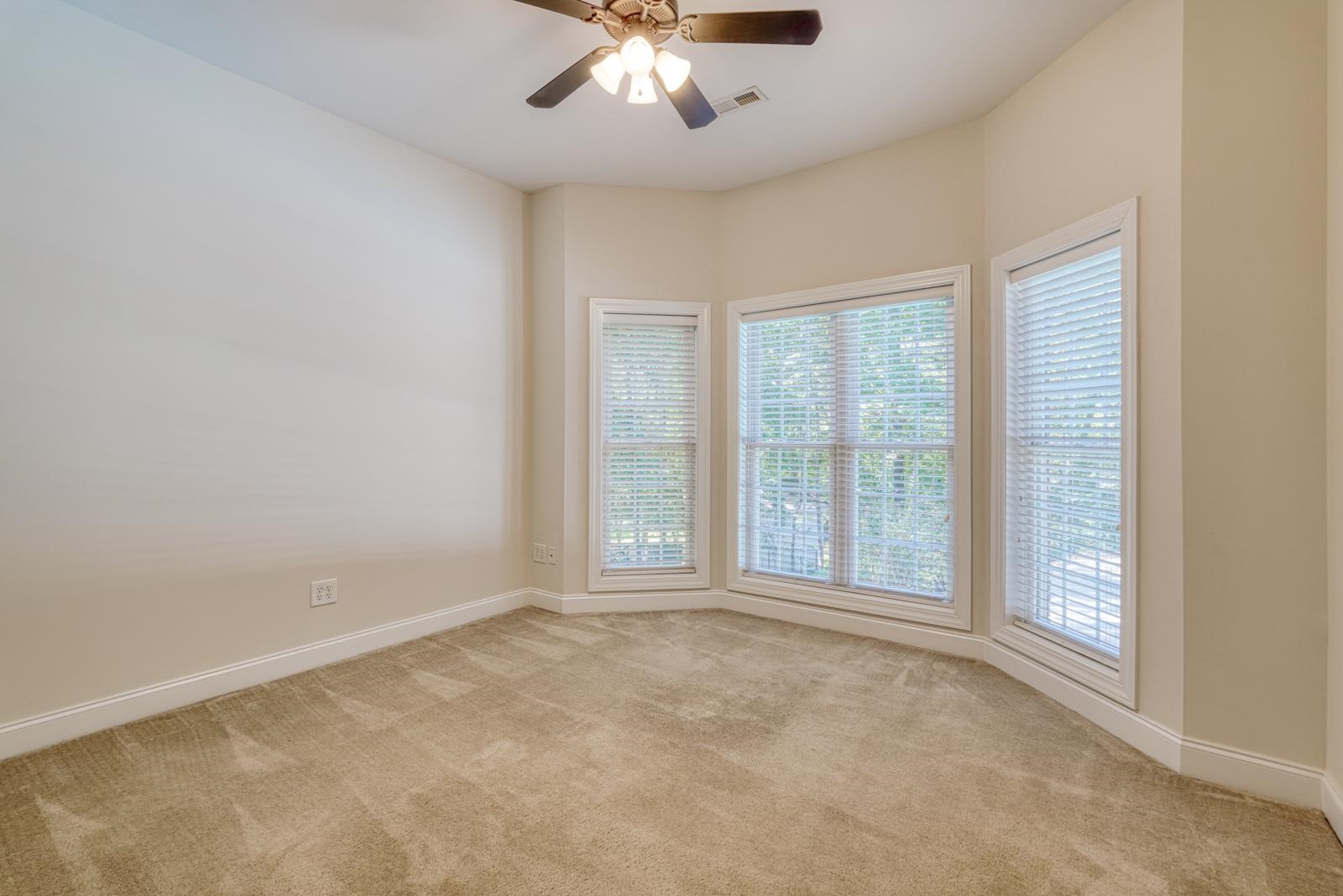 507 Carrickmore Court Property Photo 40