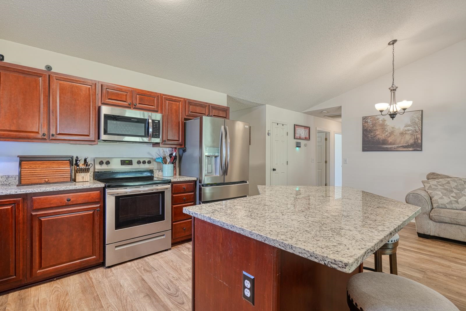 539 Hamilton Chase Drive Property Photo 15