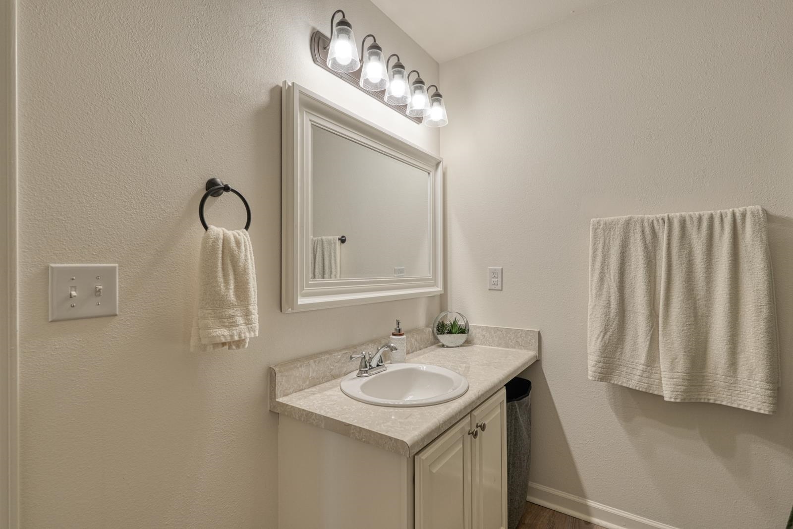 539 Hamilton Chase Drive Property Photo 26