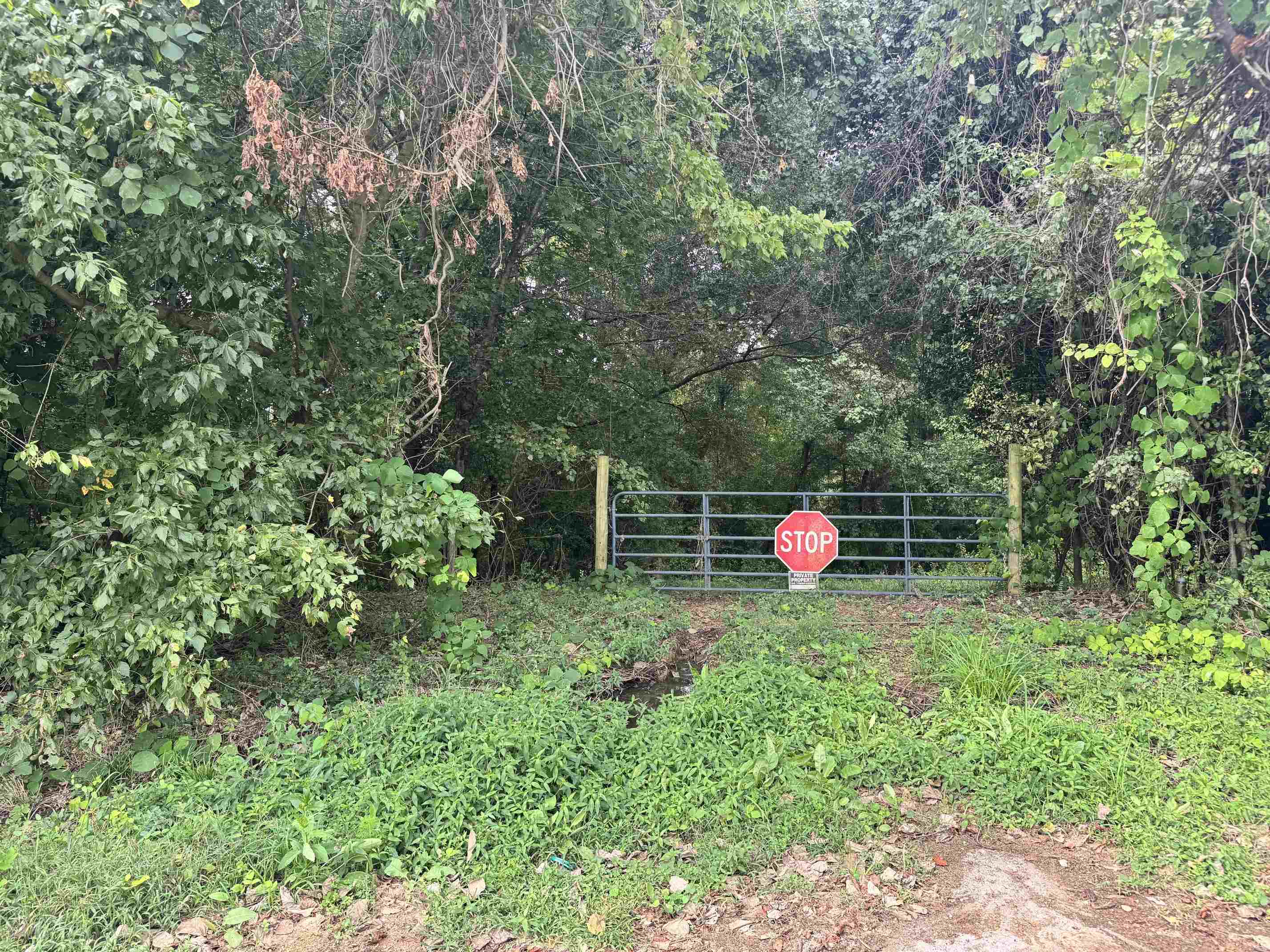 342331 Property Photo 3