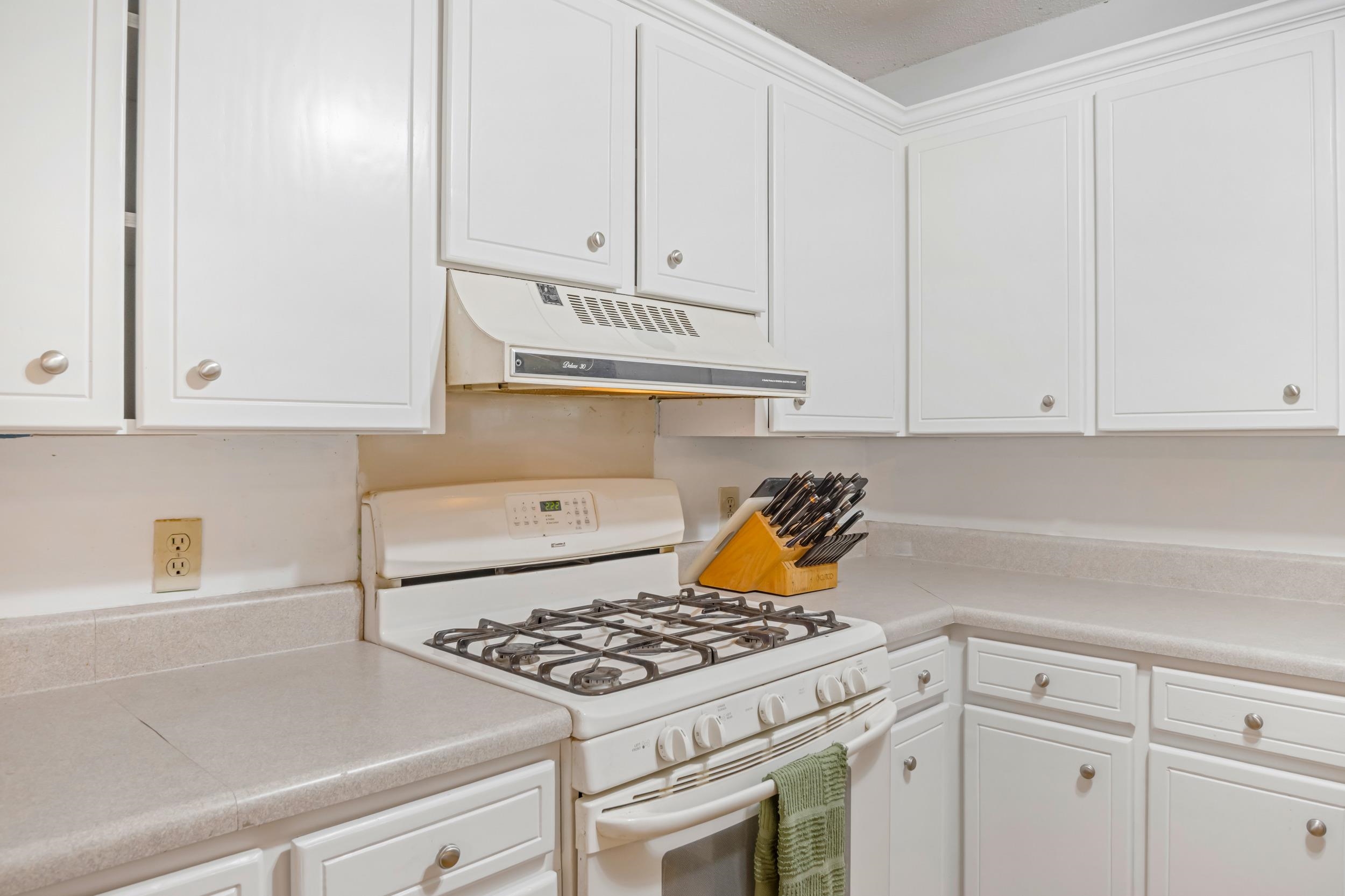 1175 Springdale Circle Property Photo 9