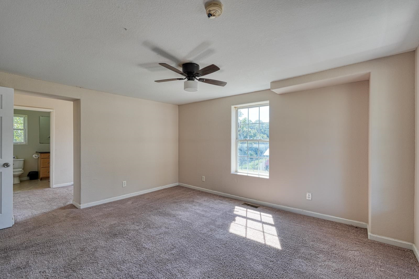 250 Cedar Street Property Photo 23