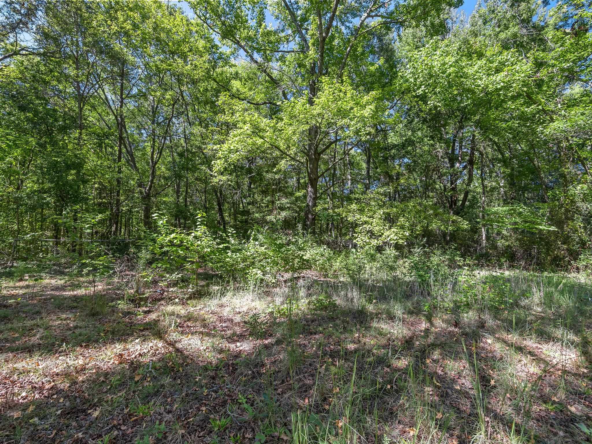 214 2nd Street Property Photo 14