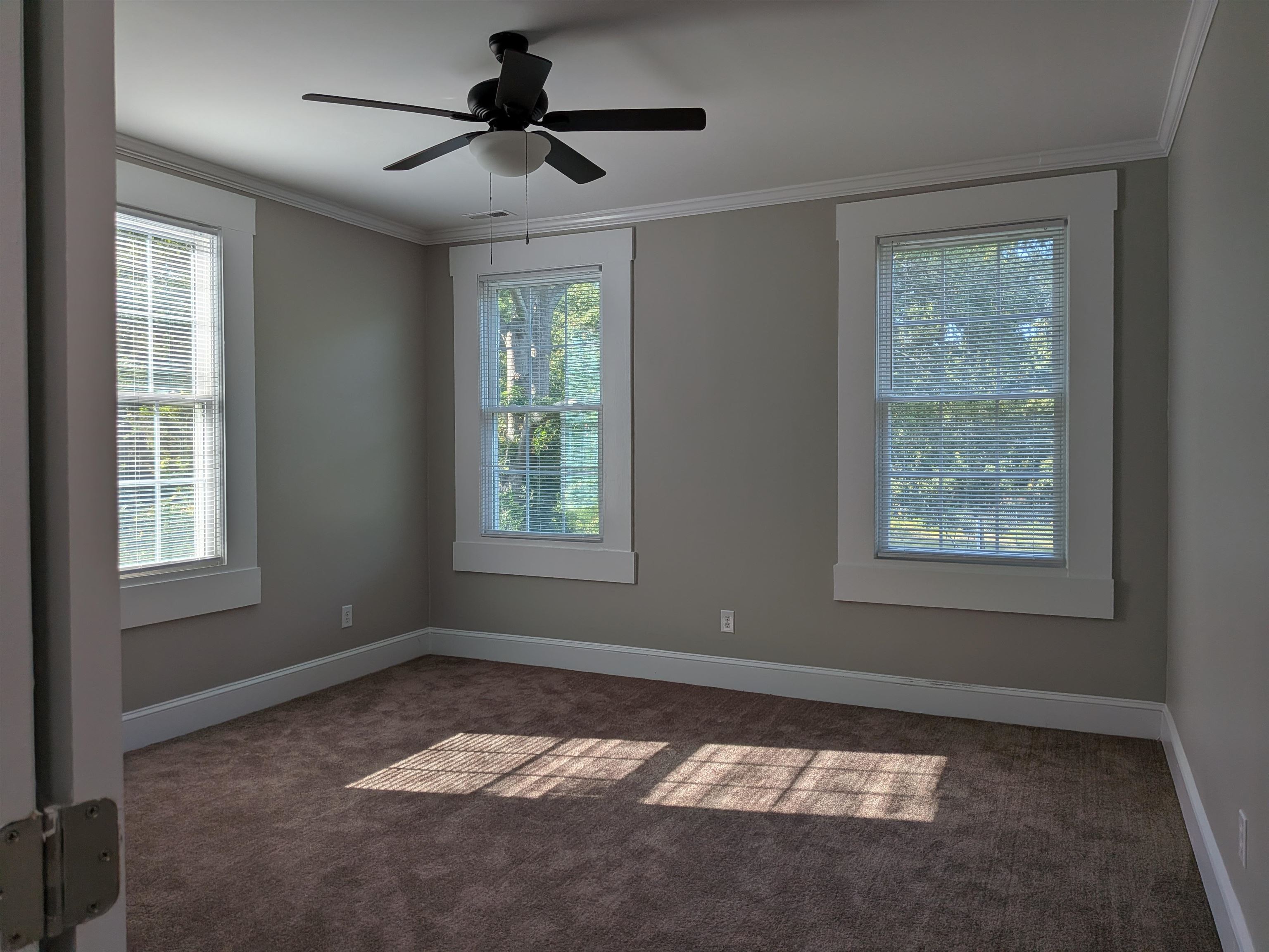 1110 Hayne Street Property Photo 39