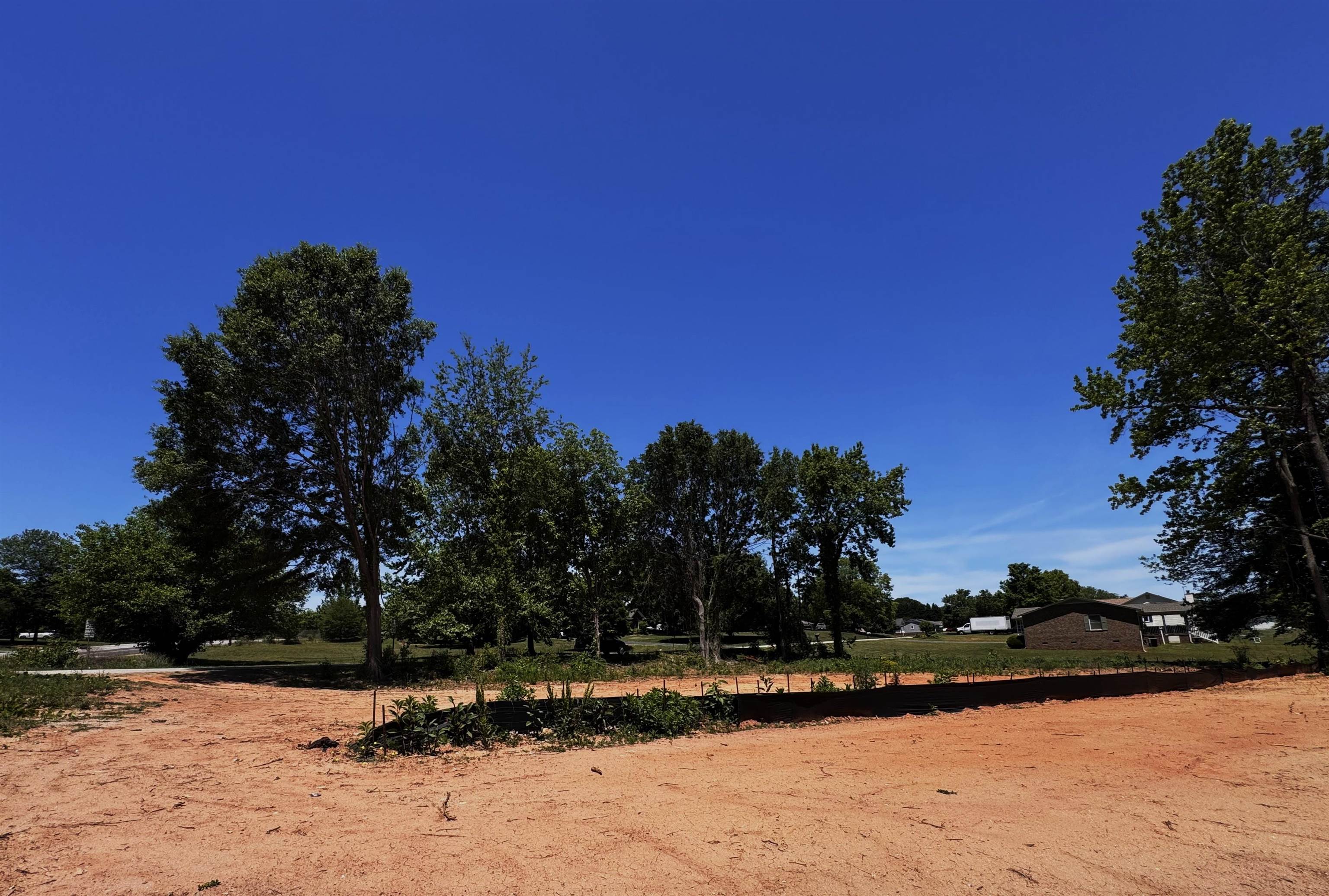 342497 Property Photo 5