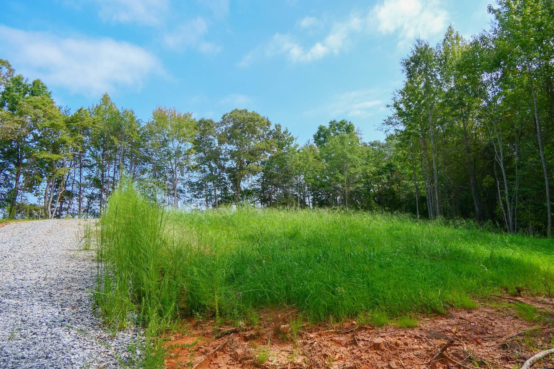 342501 Property Photo 5