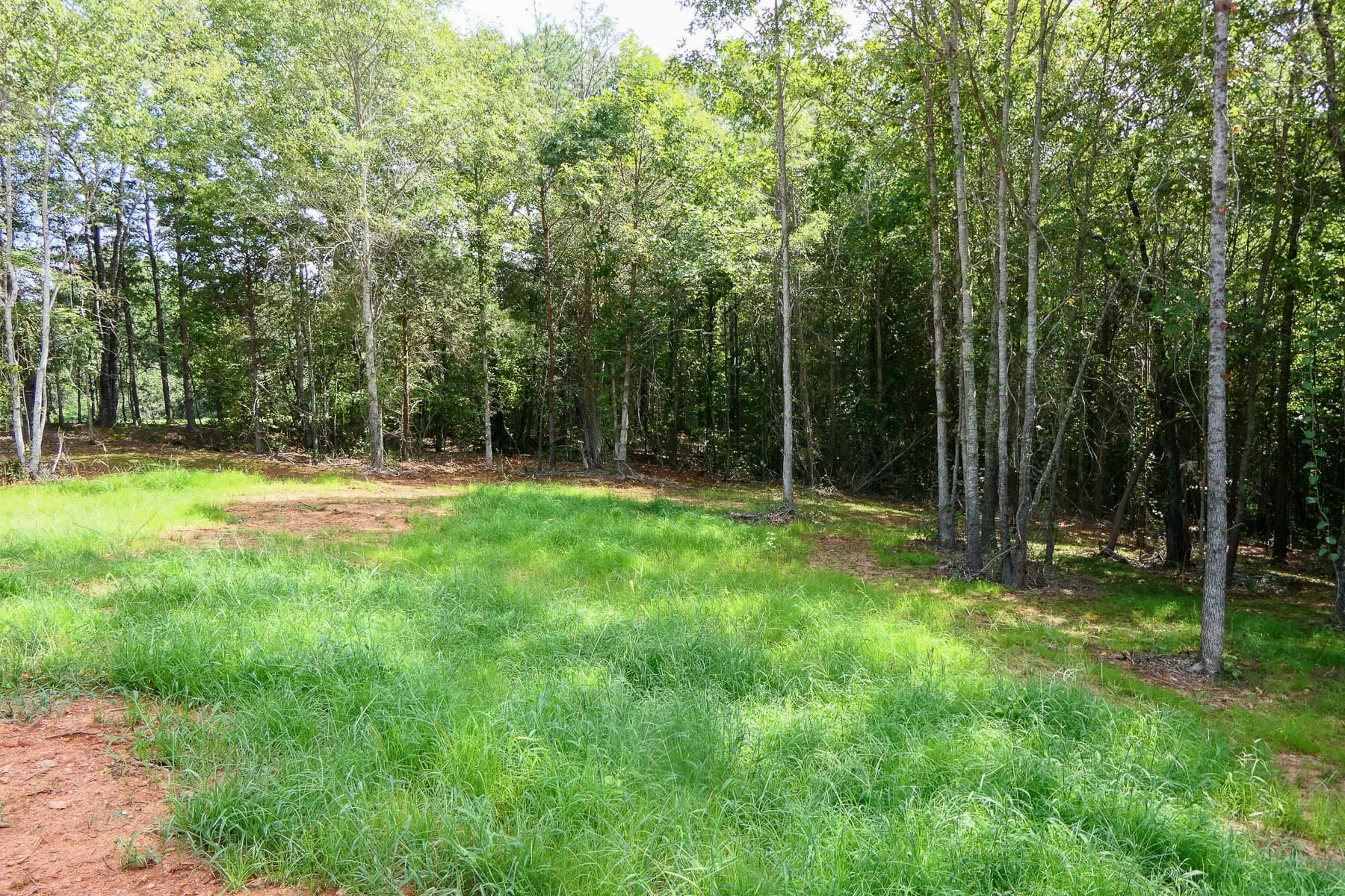 342501 Property Photo 7