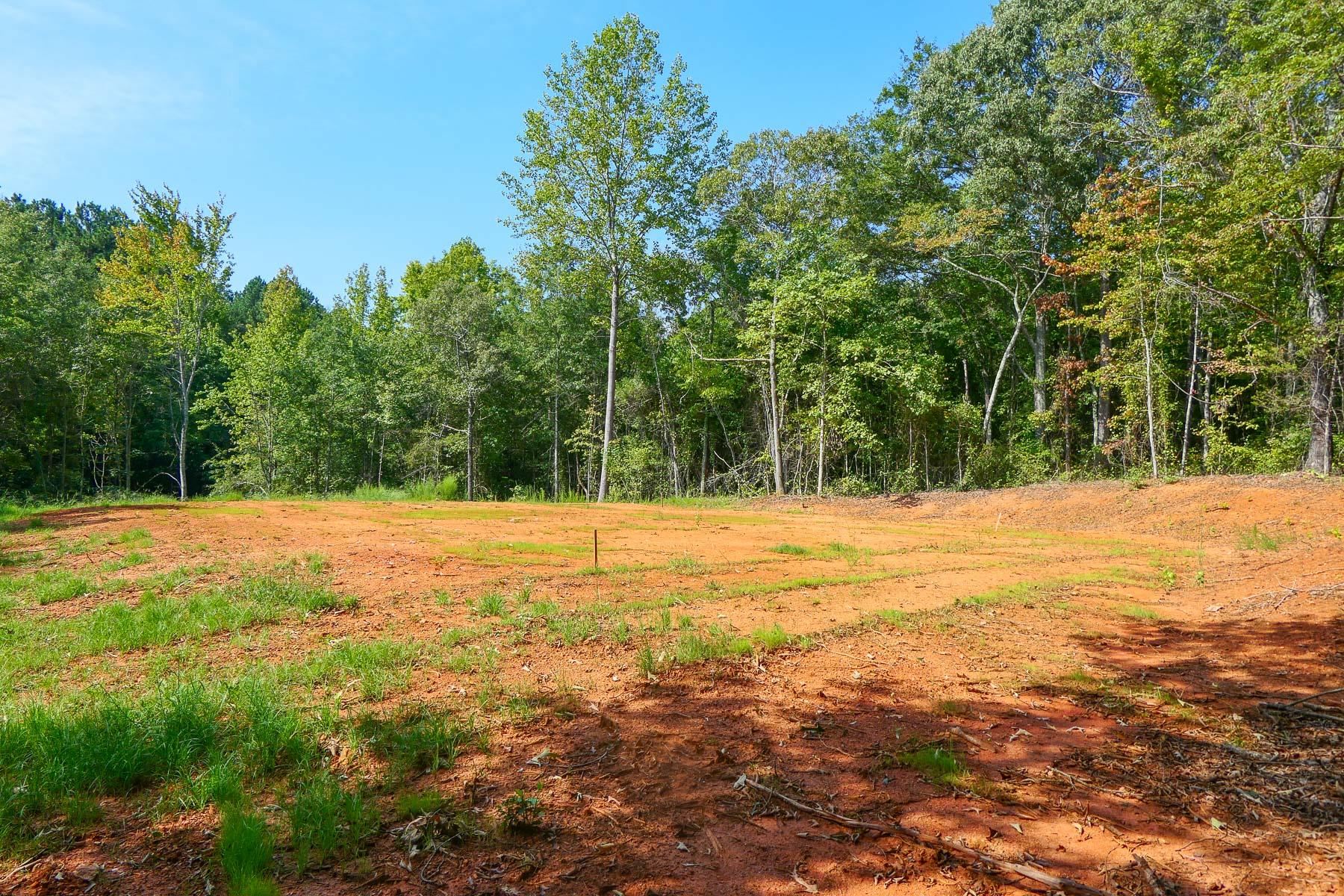 342501 Property Photo 8