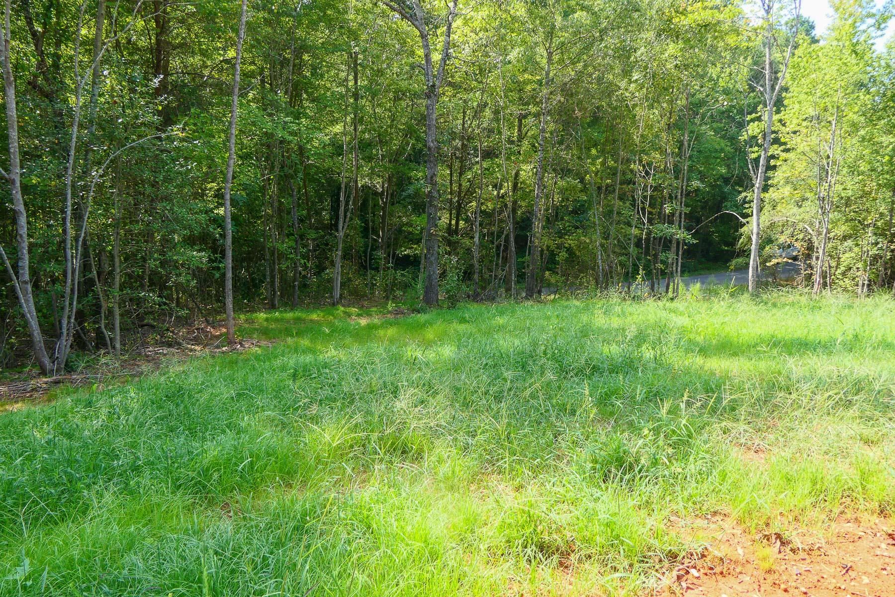 342501 Property Photo 9