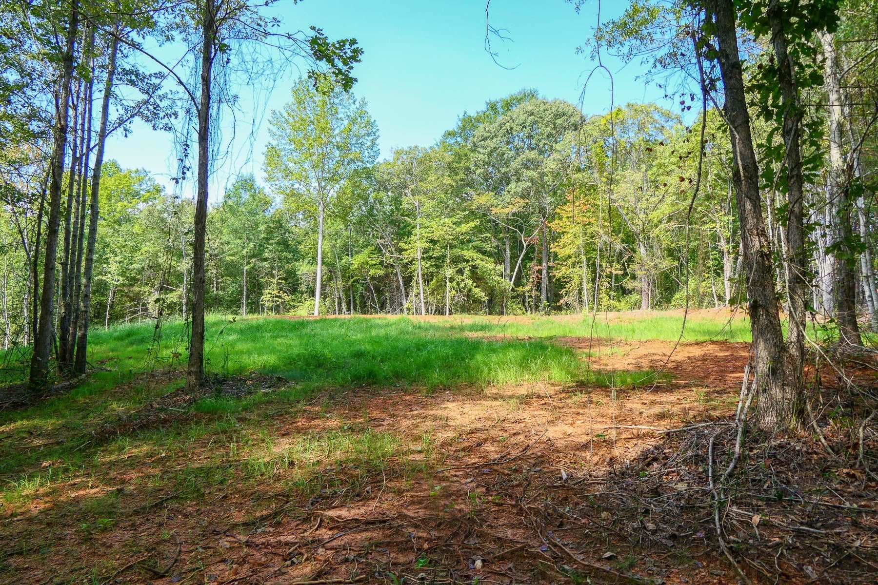 342501 Property Photo 10
