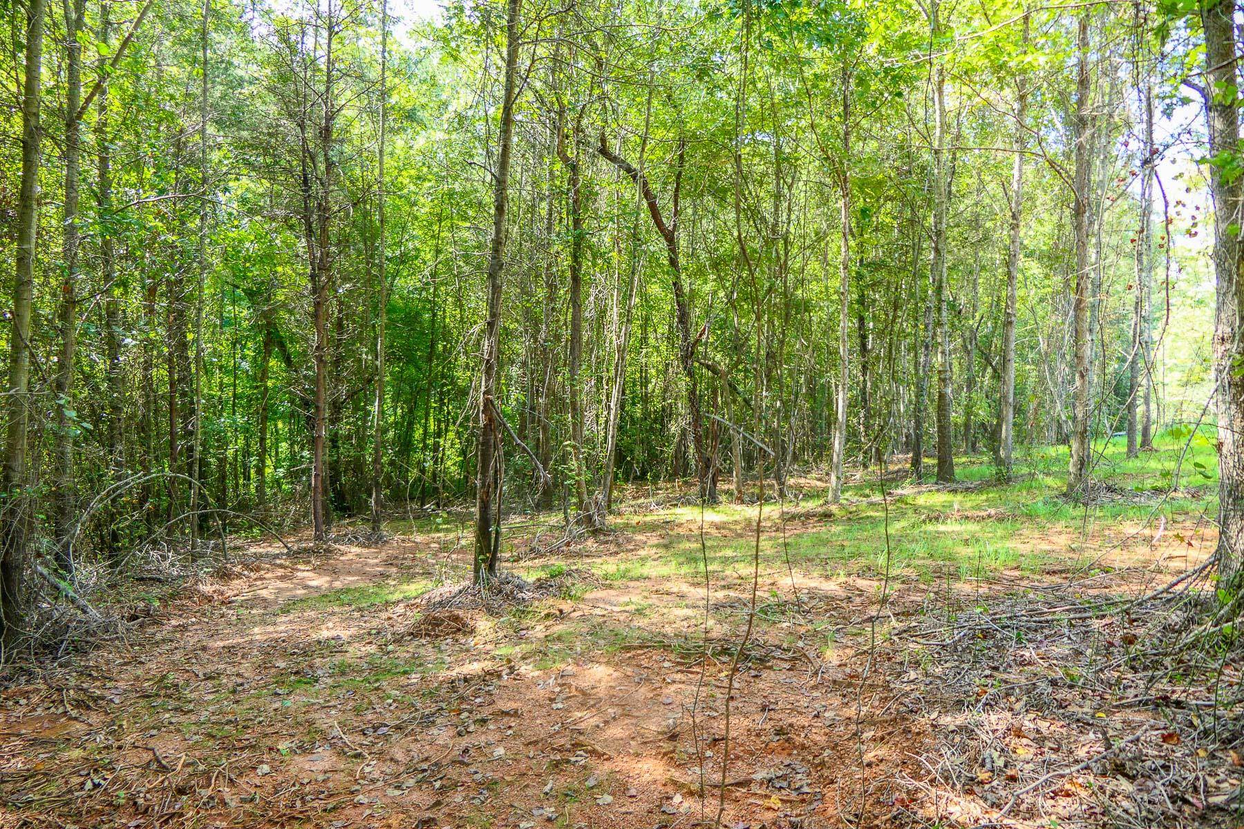 342501 Property Photo 11