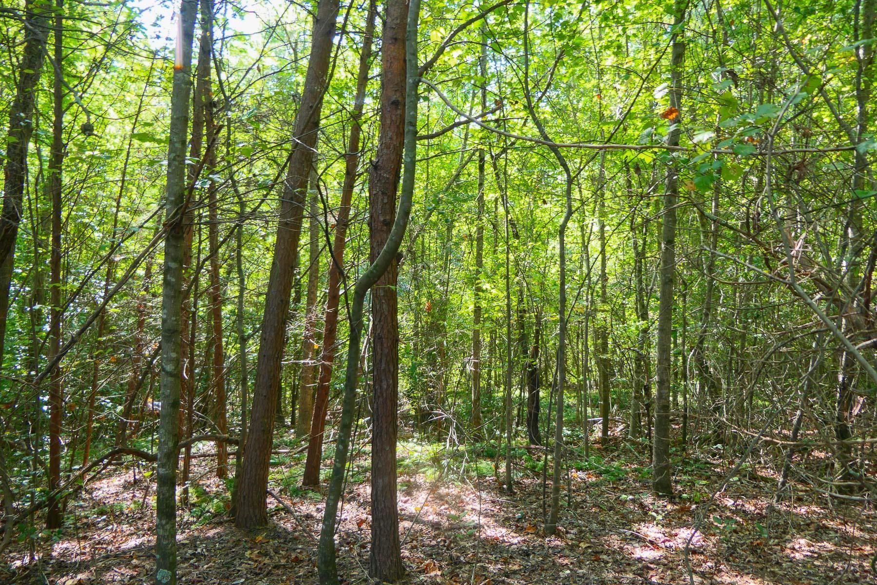 342501 Property Photo 12