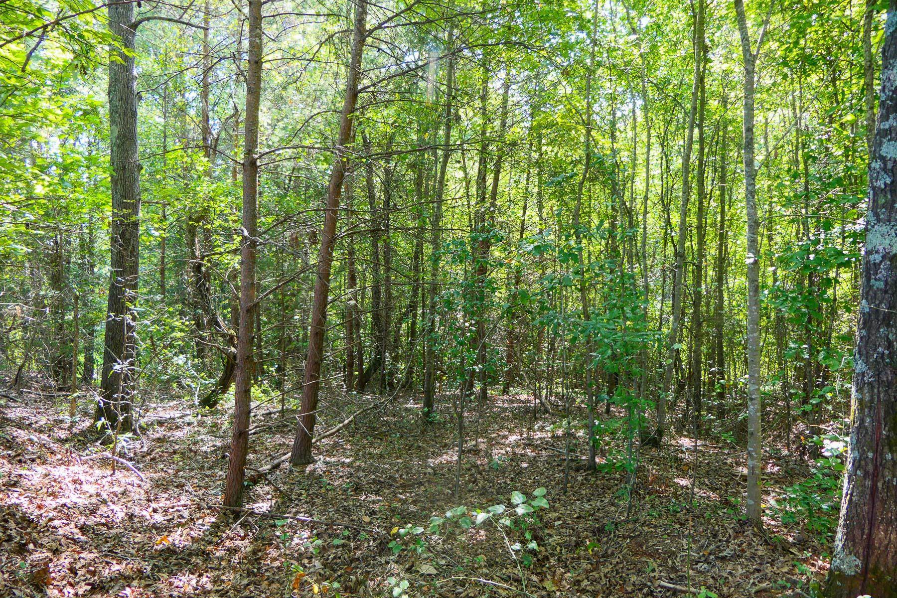 342501 Property Photo 13