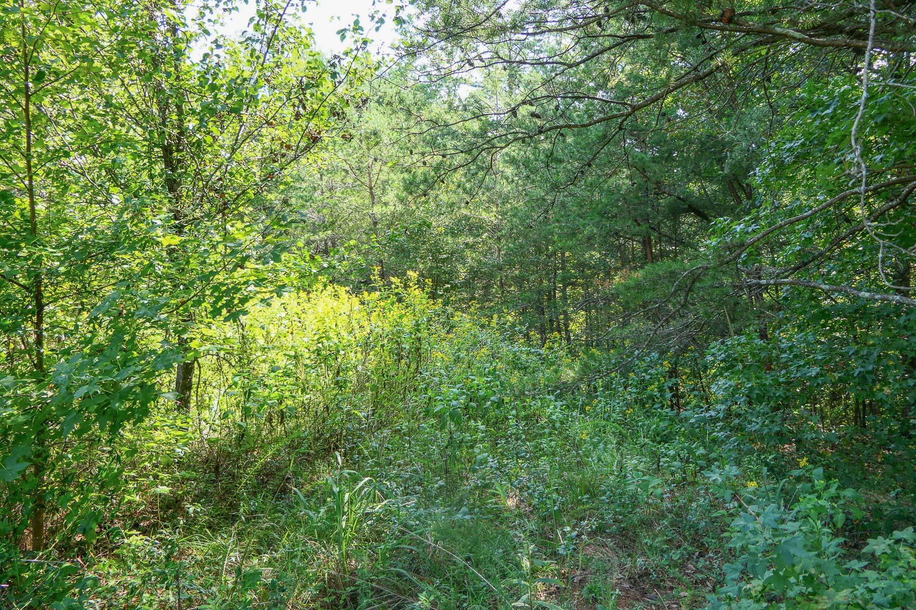 342501 Property Photo 14