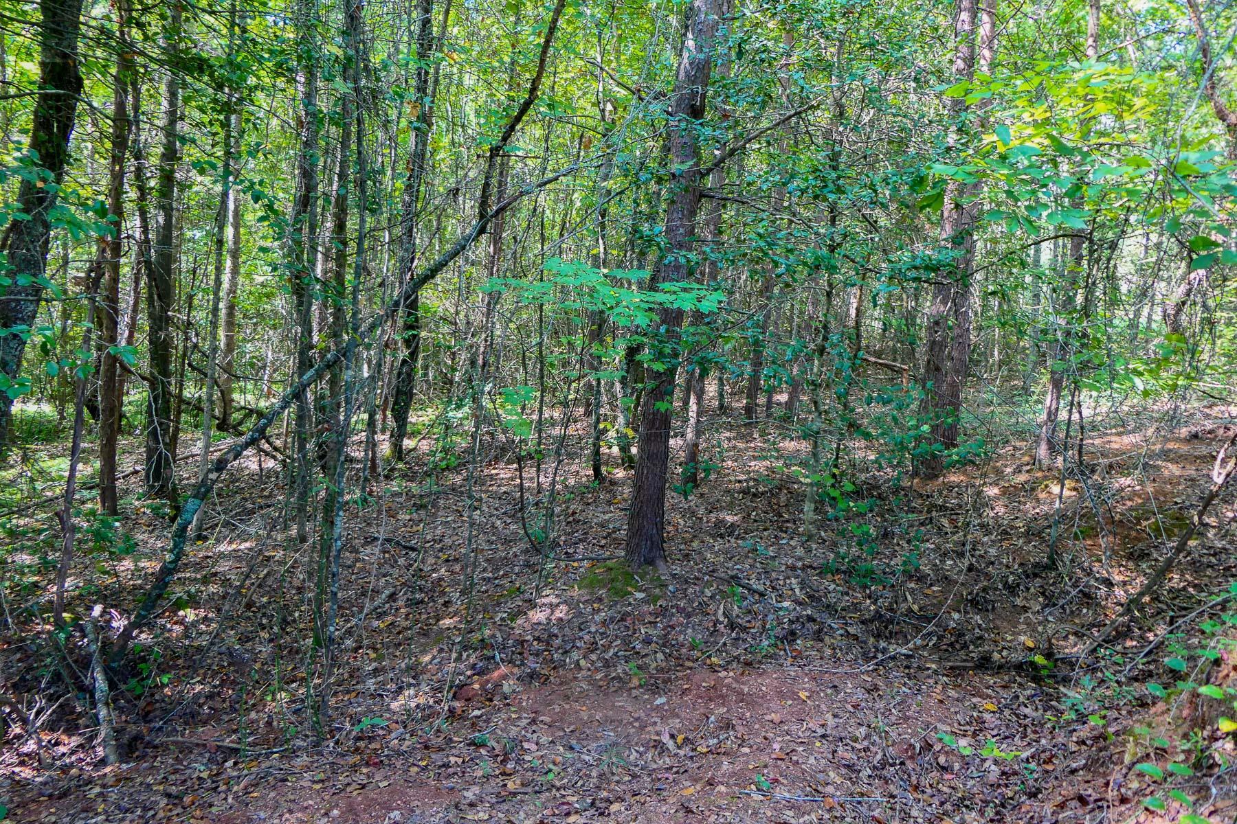 342501 Property Photo 15