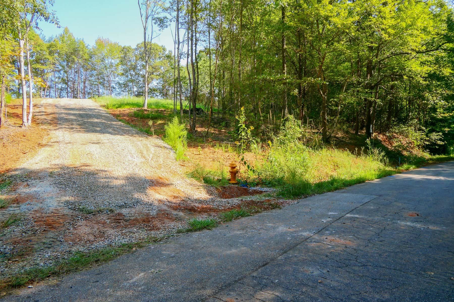 342501 Property Photo 16
