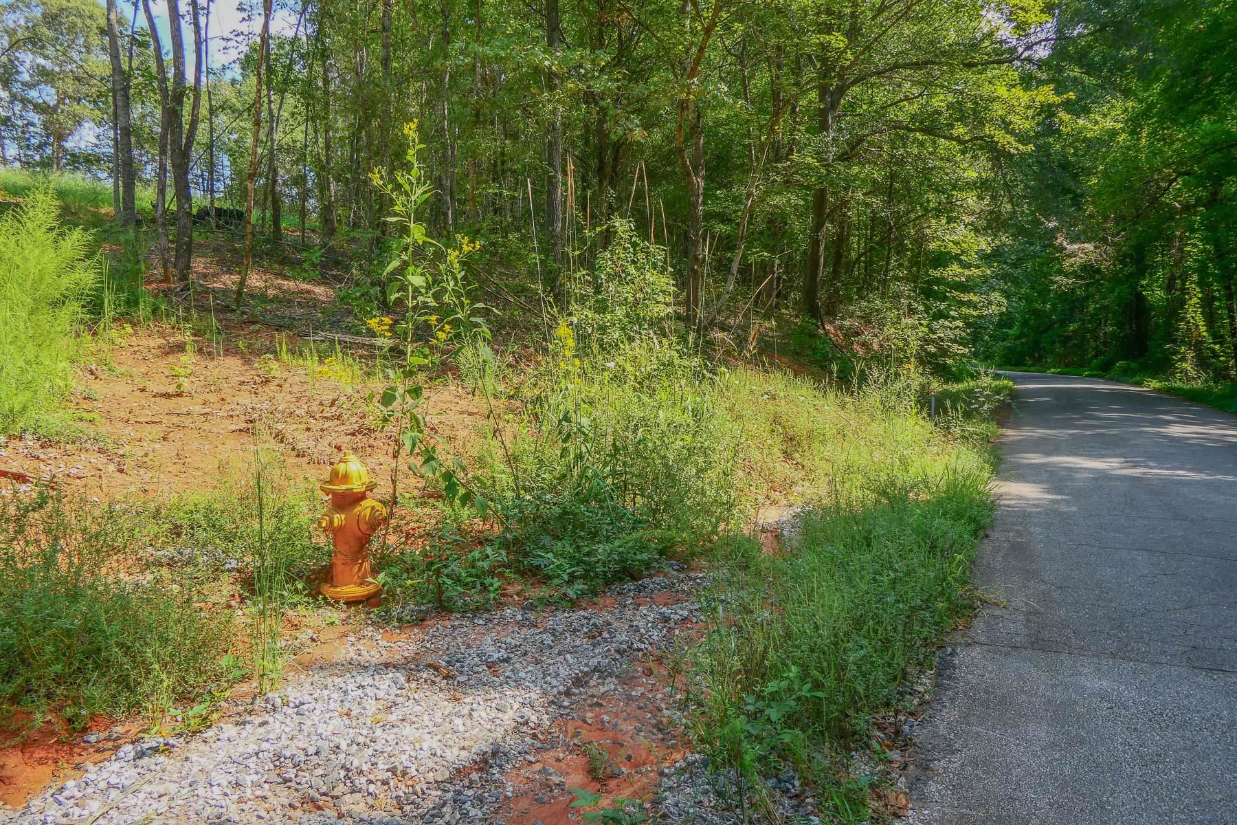 342501 Property Photo 18