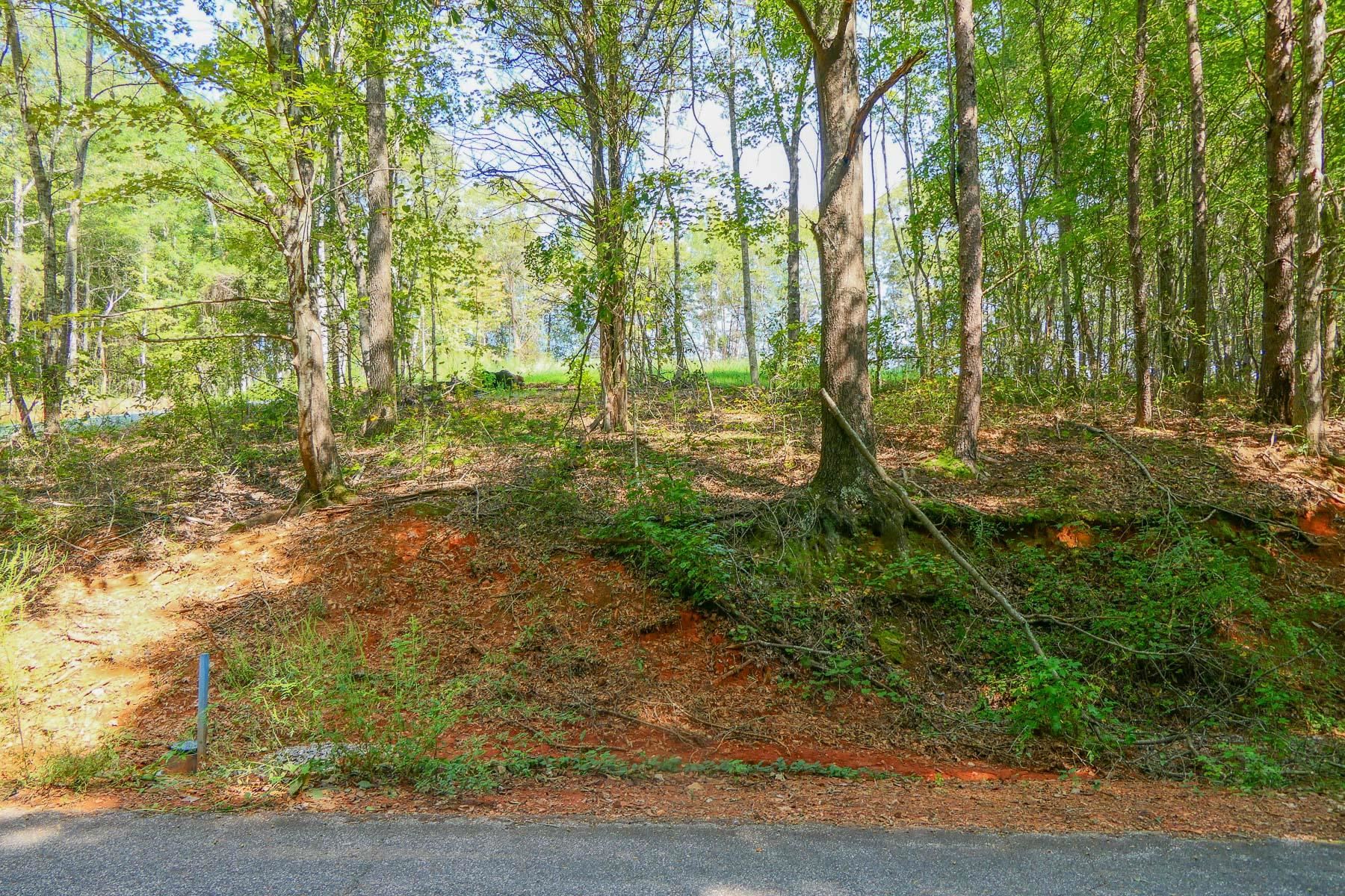 342501 Property Photo 19