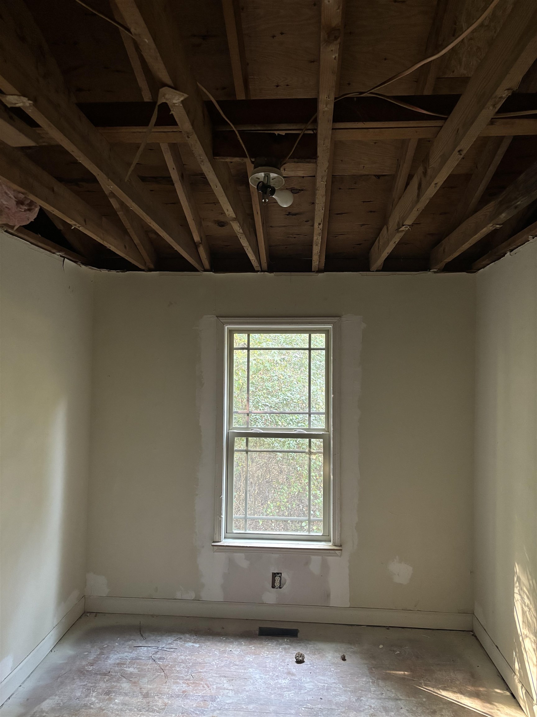 713 W Georgia Street Property Photo 10