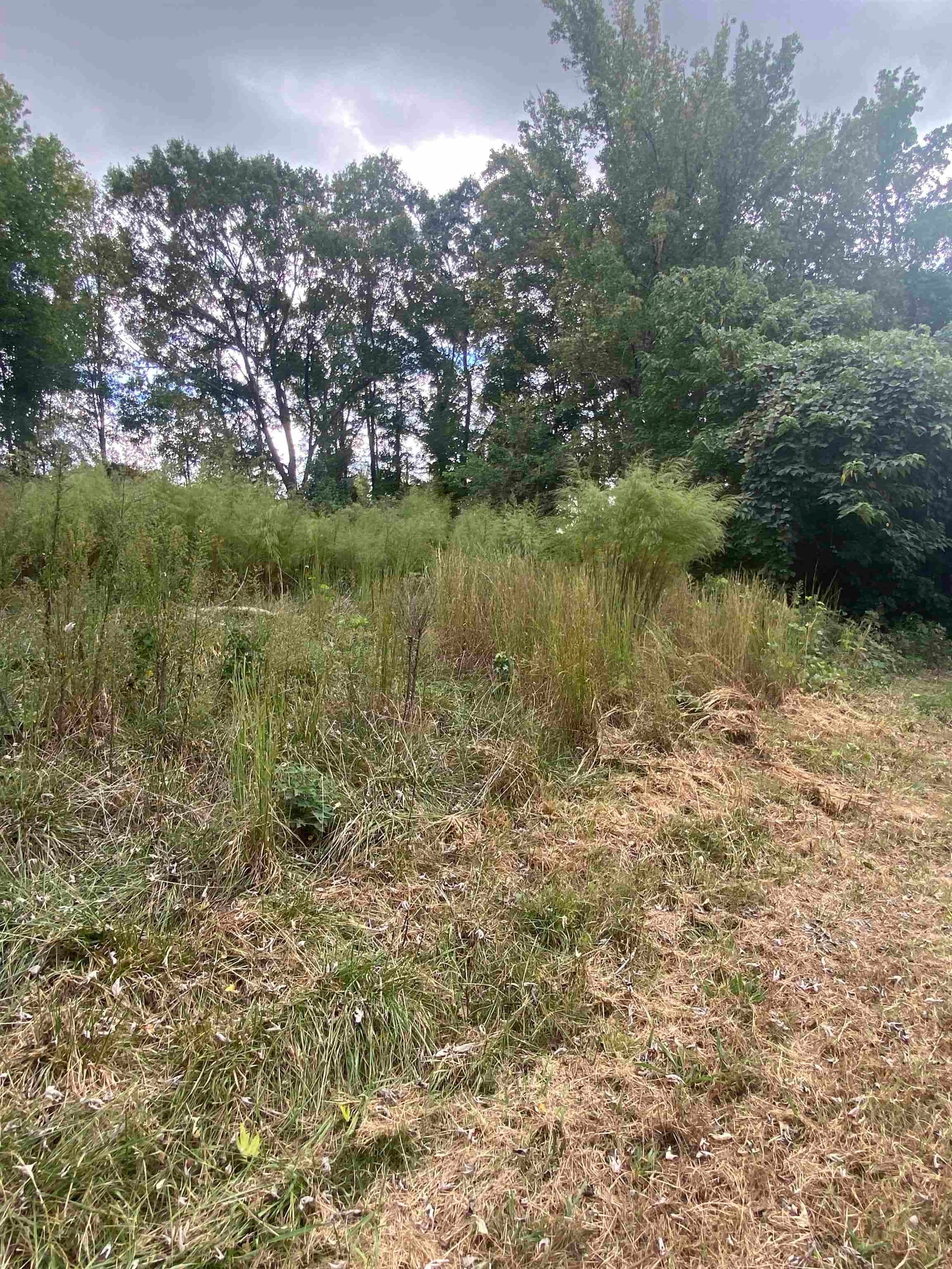 342539 Property Photo 1
