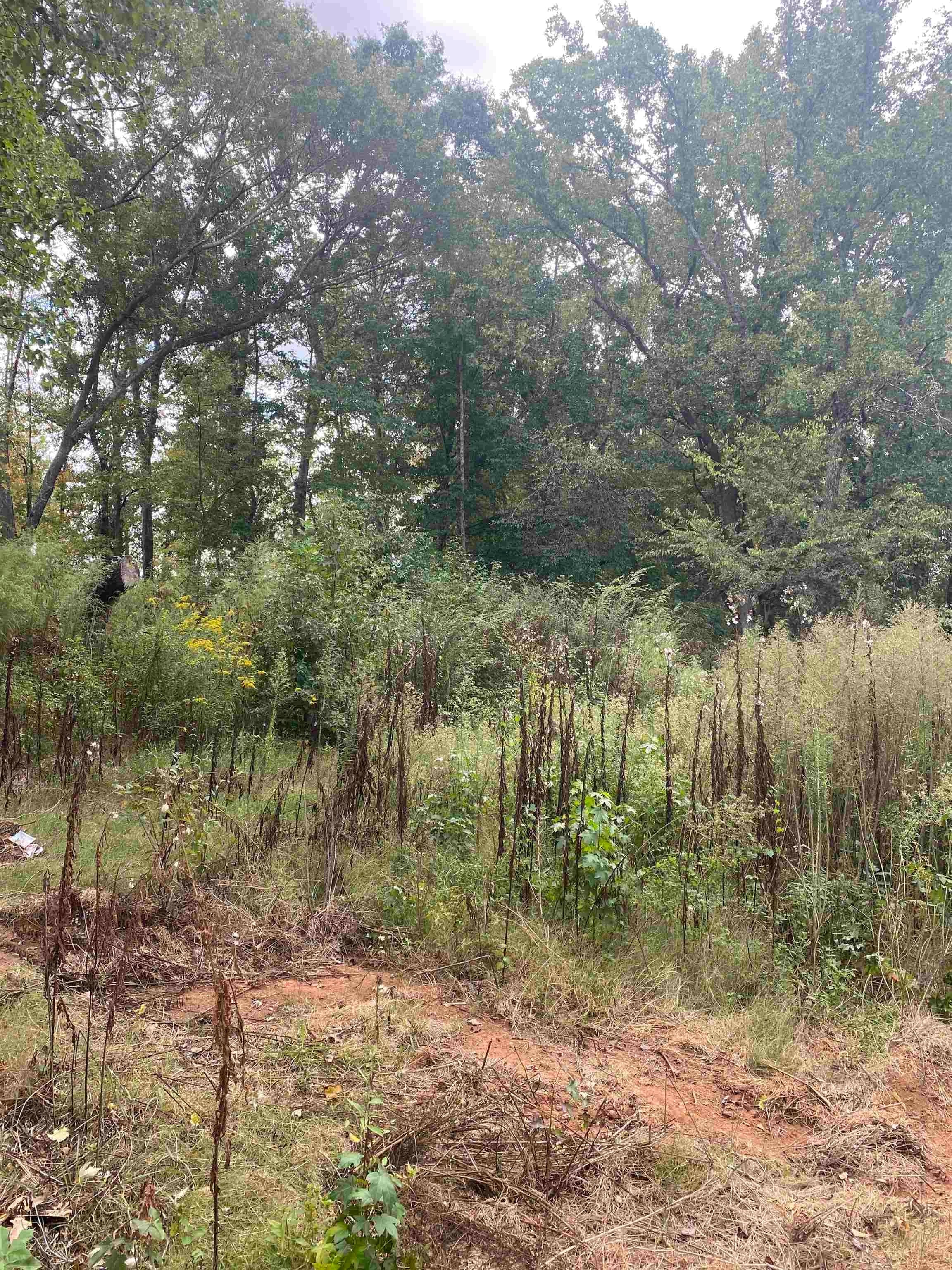 342539 Property Photo 2