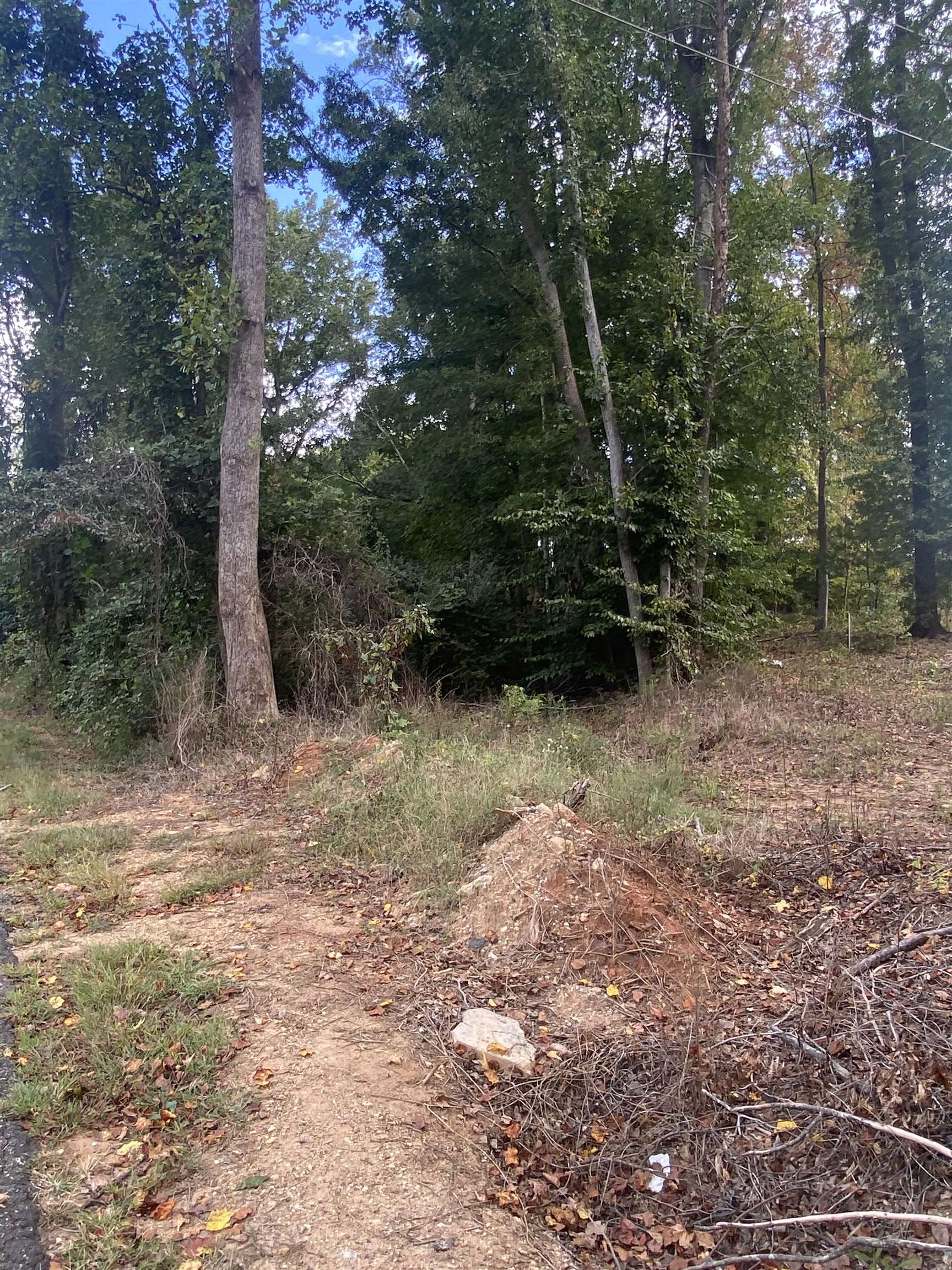 342539 Property Photo 10