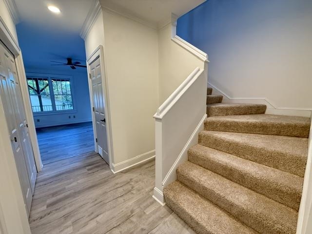 157 Connecticut Avenue Property Photo 28