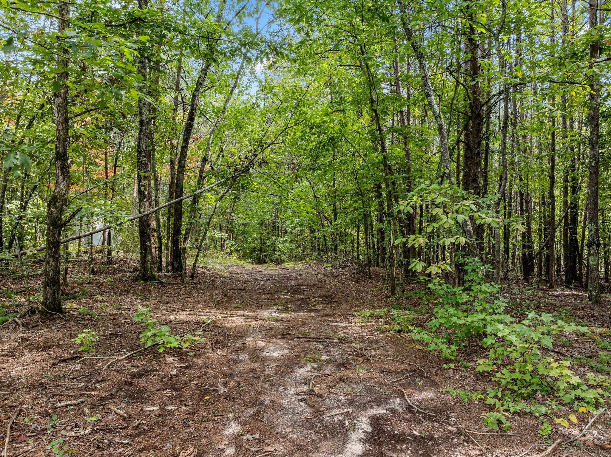360 Greenwood Road Property Photo 37