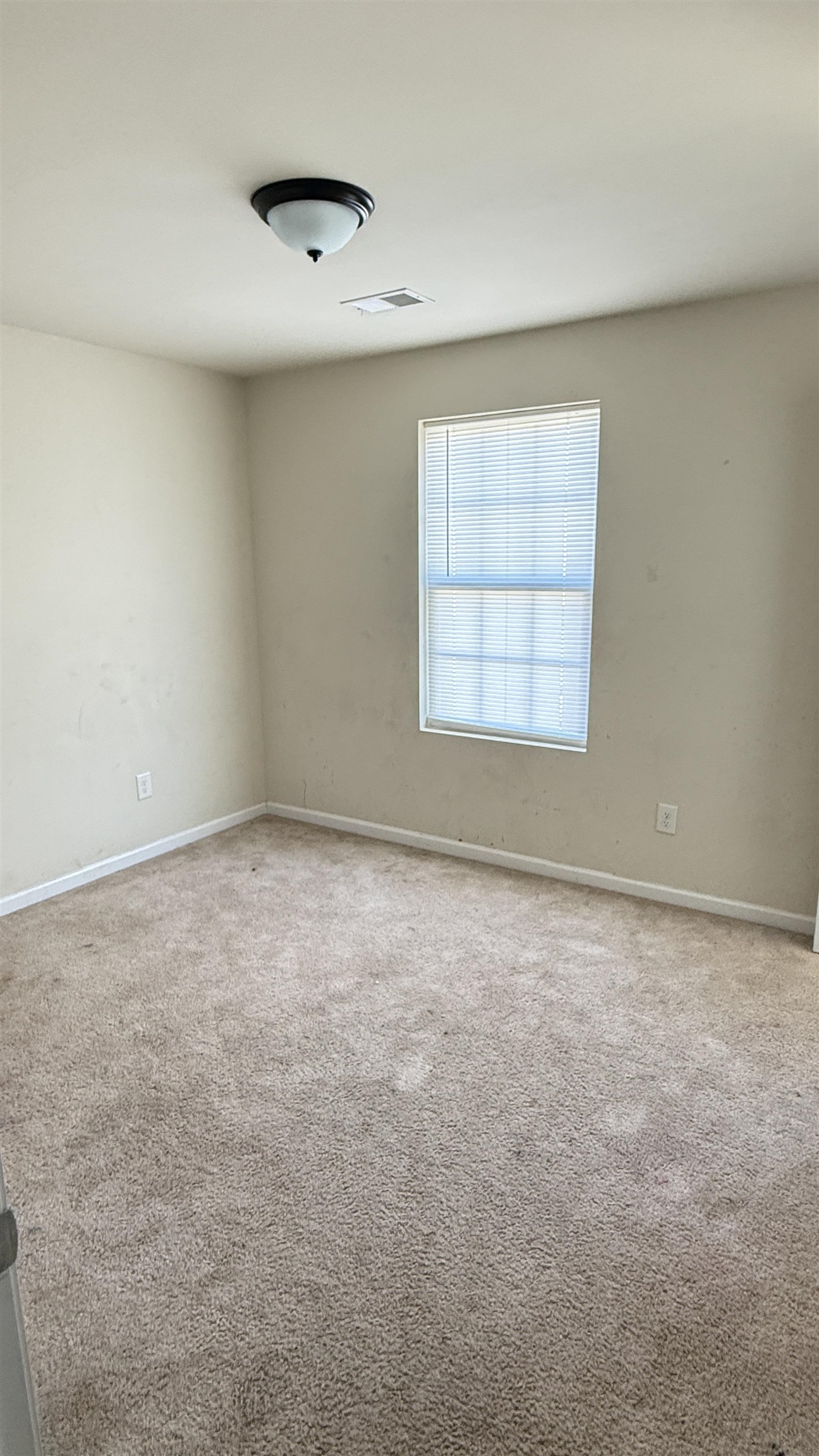 399 Promised Land Drive Property Photo 24