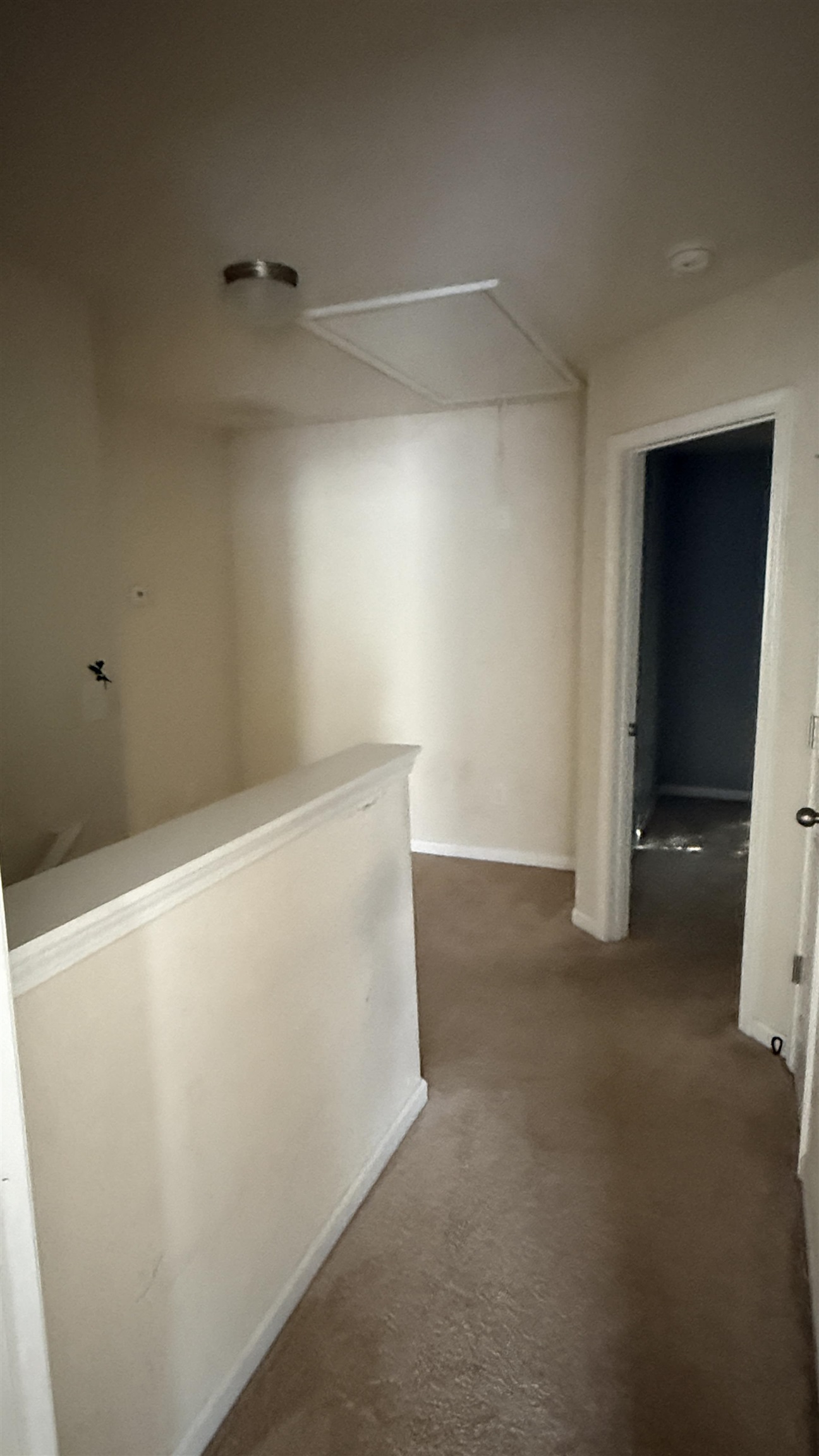 399 Promised Land Drive Property Photo 29