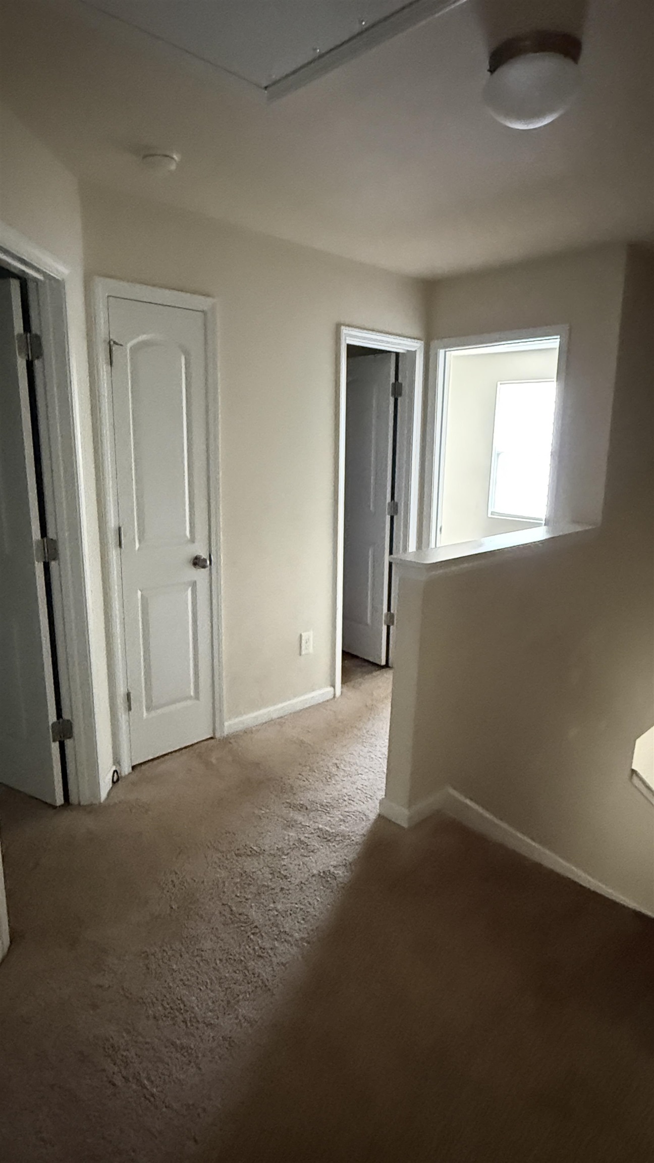 399 Promised Land Drive Property Photo 30
